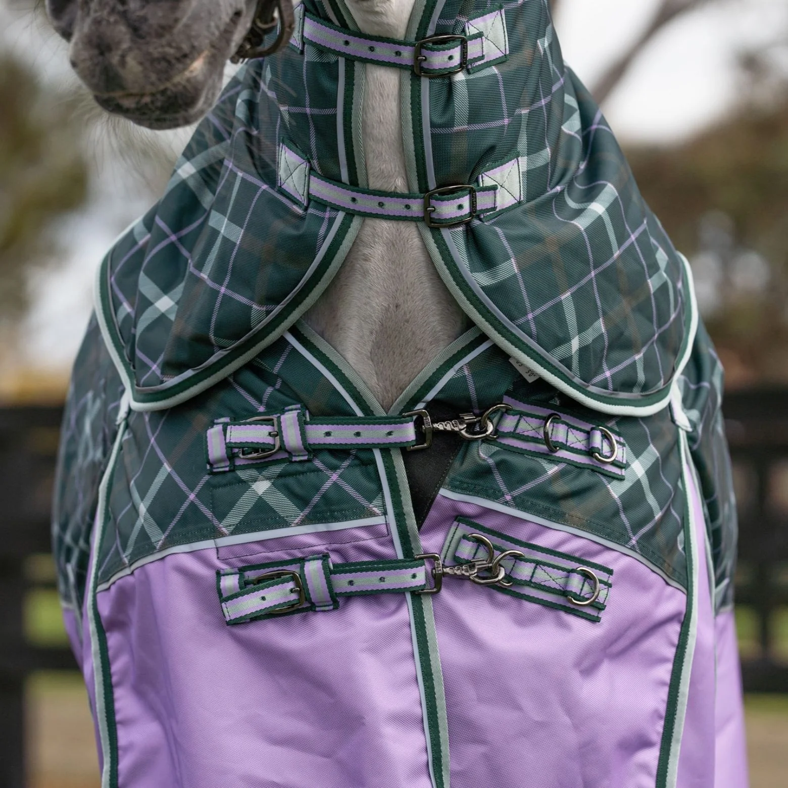 Caribu Colorado Detach-a-Neck Horse Rug 250g Green/Lilac Tartan - Image 31