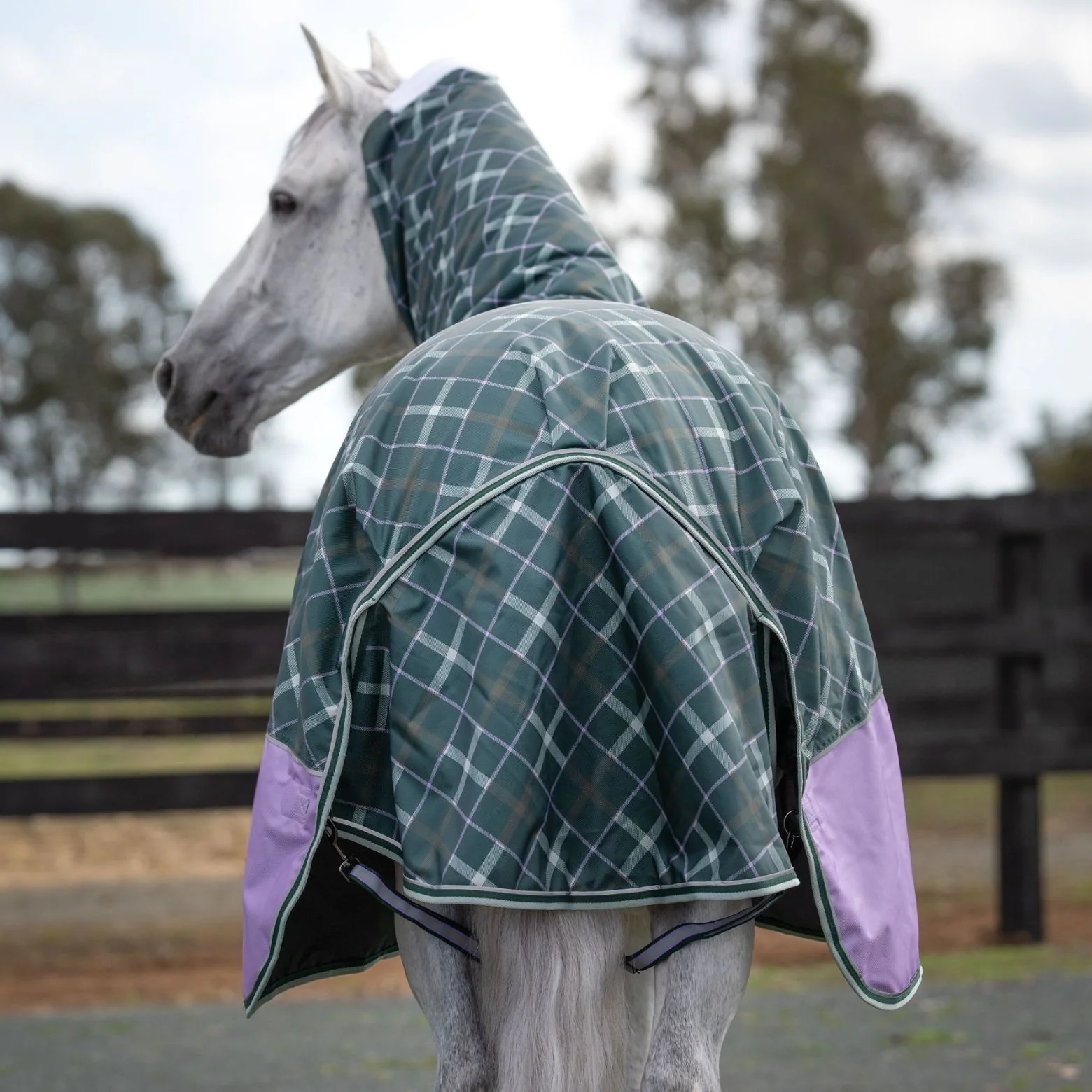 Caribu Colorado Detach-a-Neck Horse Rug 250g Green/Lilac Tartan - Image 38