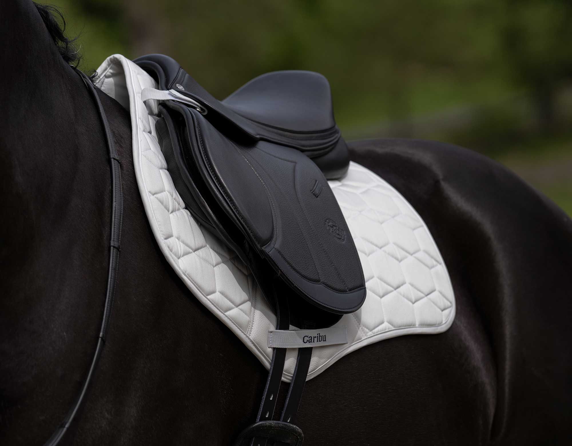 CARIBU Cotton Jump Saddle Pad - Image 15