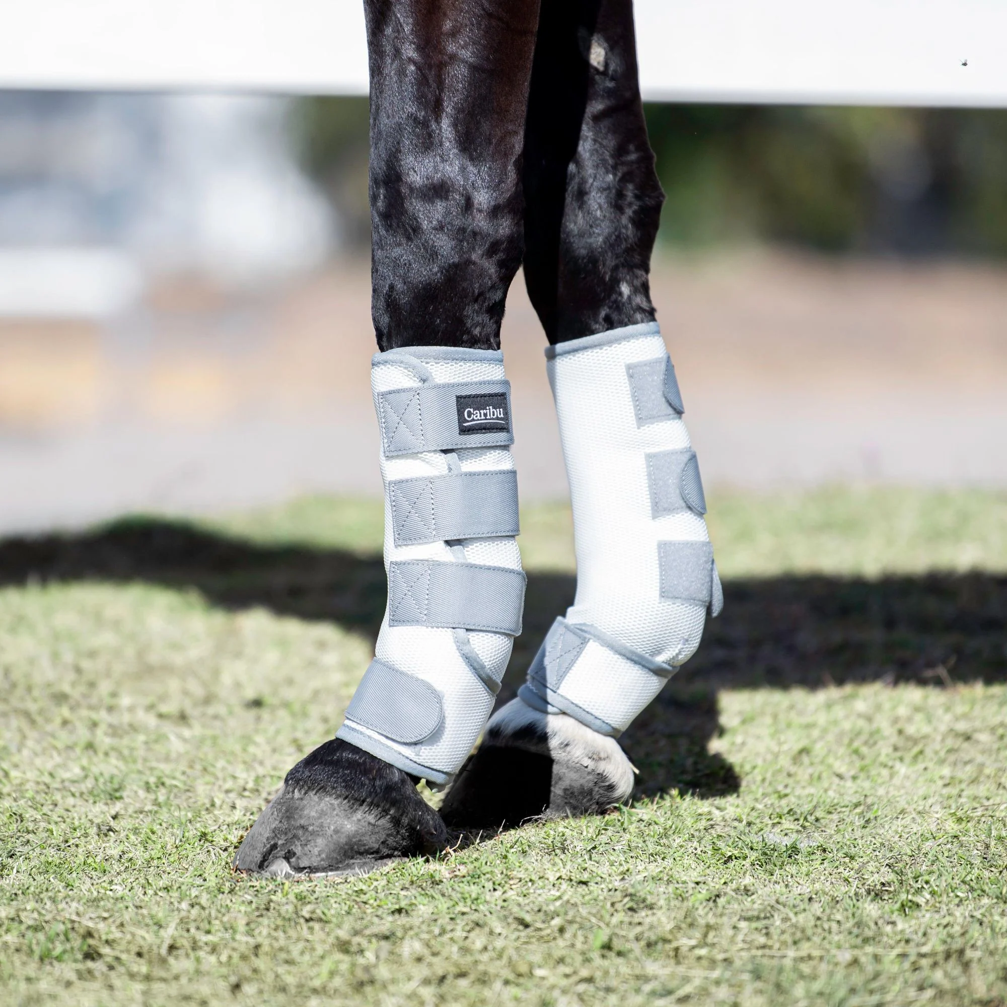 Caribu Deluxe Mesh Horse Fly Boots - Image 2