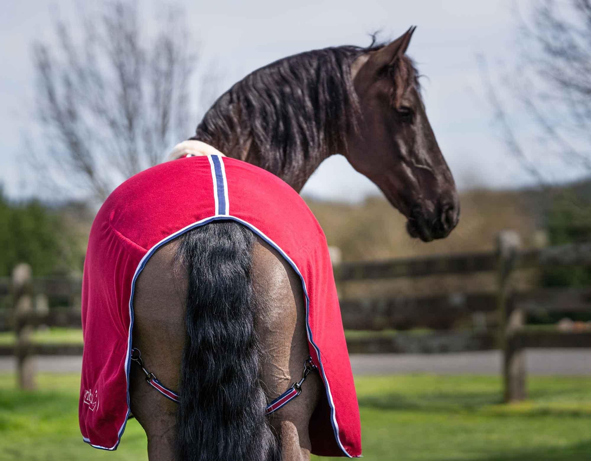 Caribu Deluxe Polar Fleece Horse Rug - Image 29