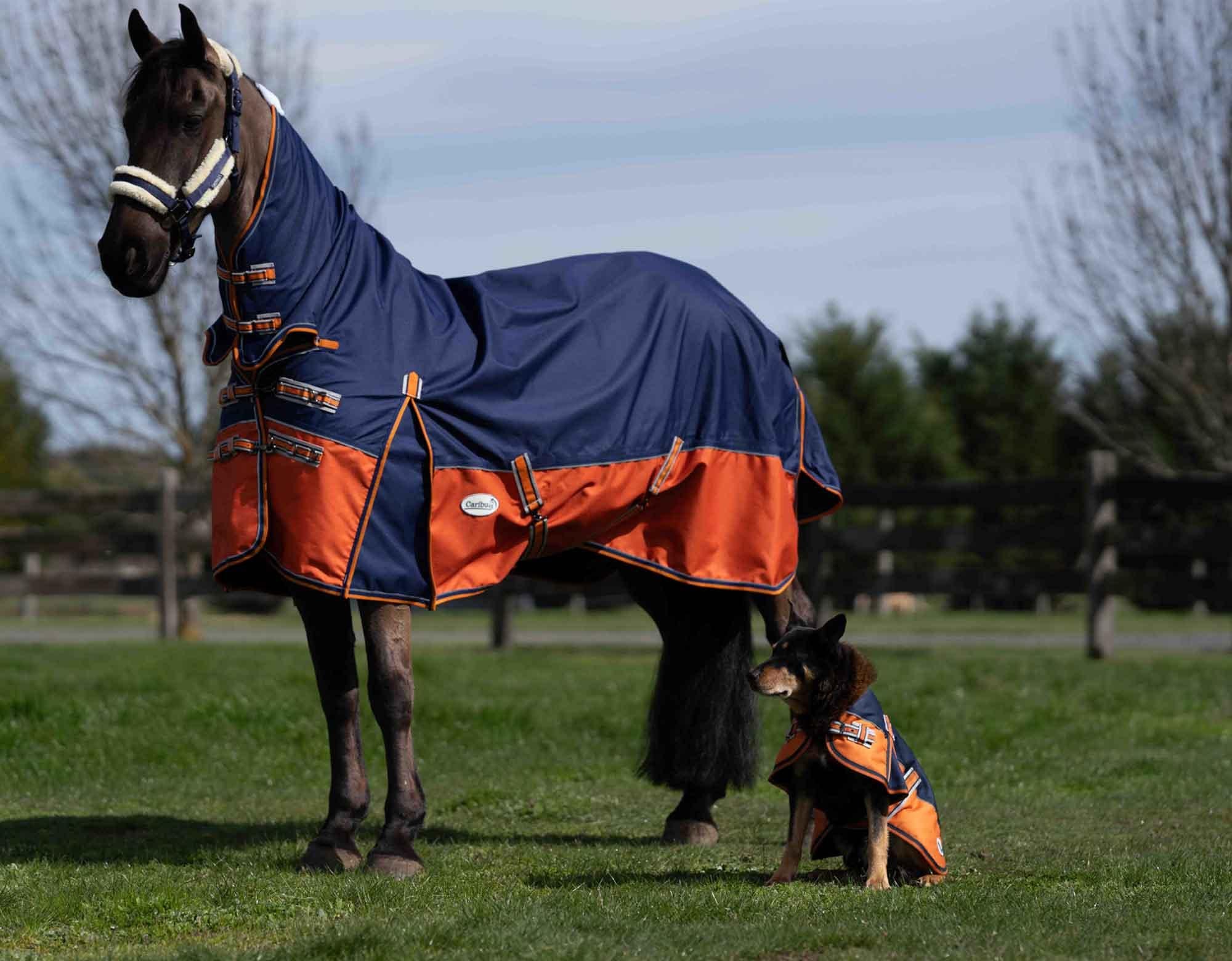 Caribu Eclipse Combo Horse Rainsheet Navy Kumquat - Image 33