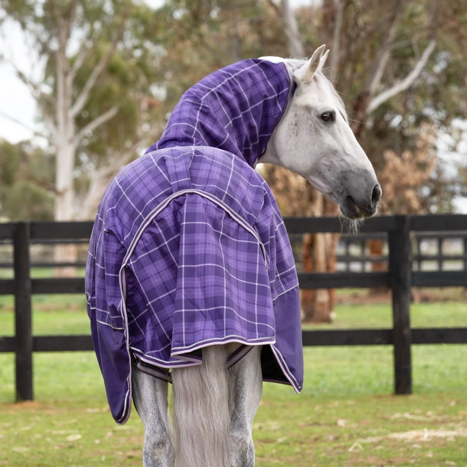 Caribu Eclipse Detach-a-Neck Rainsheet 1200D Purple Tartan - Image 21
