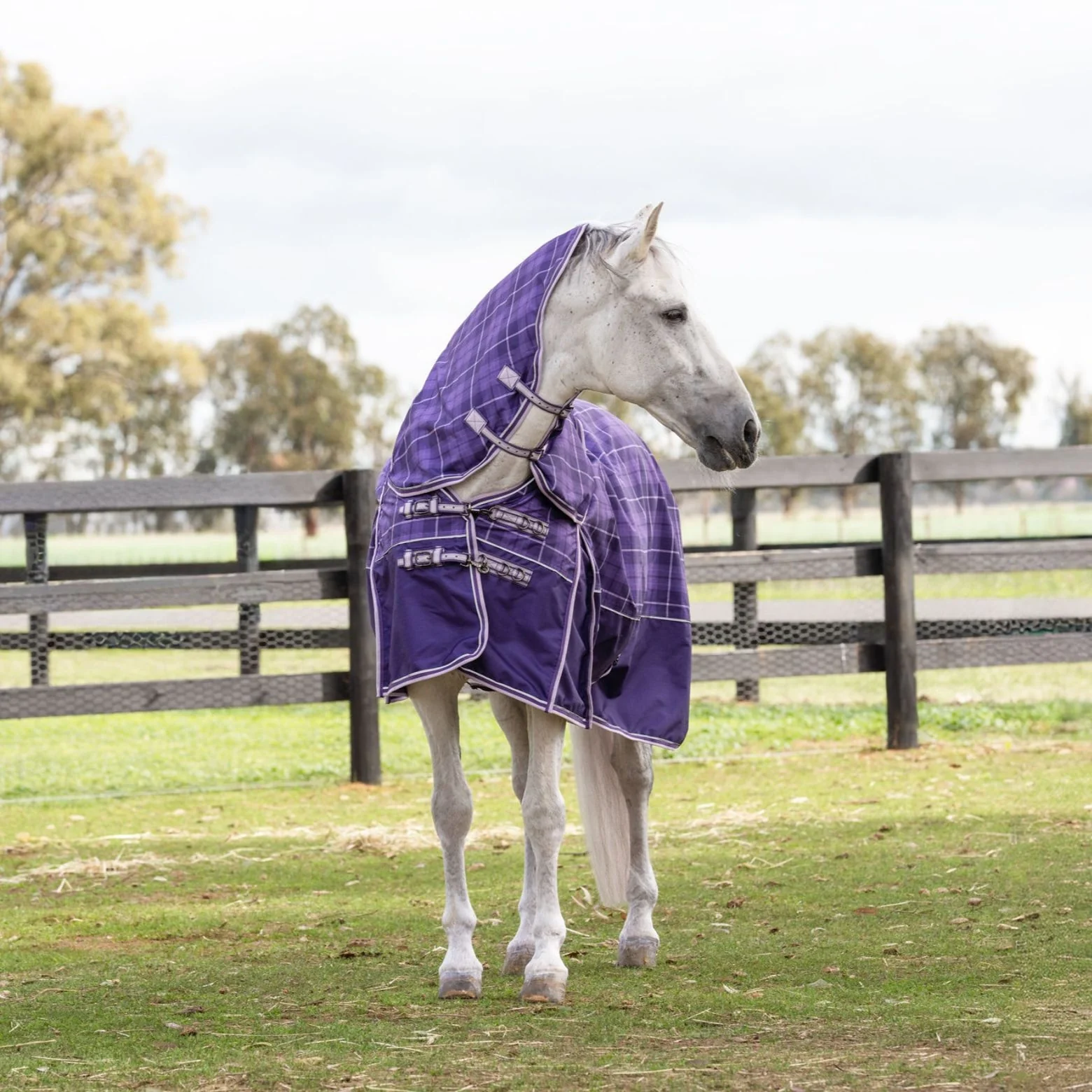 Caribu Eclipse Detach-a-Neck Rainsheet 1200D Purple Tartan - Image 30