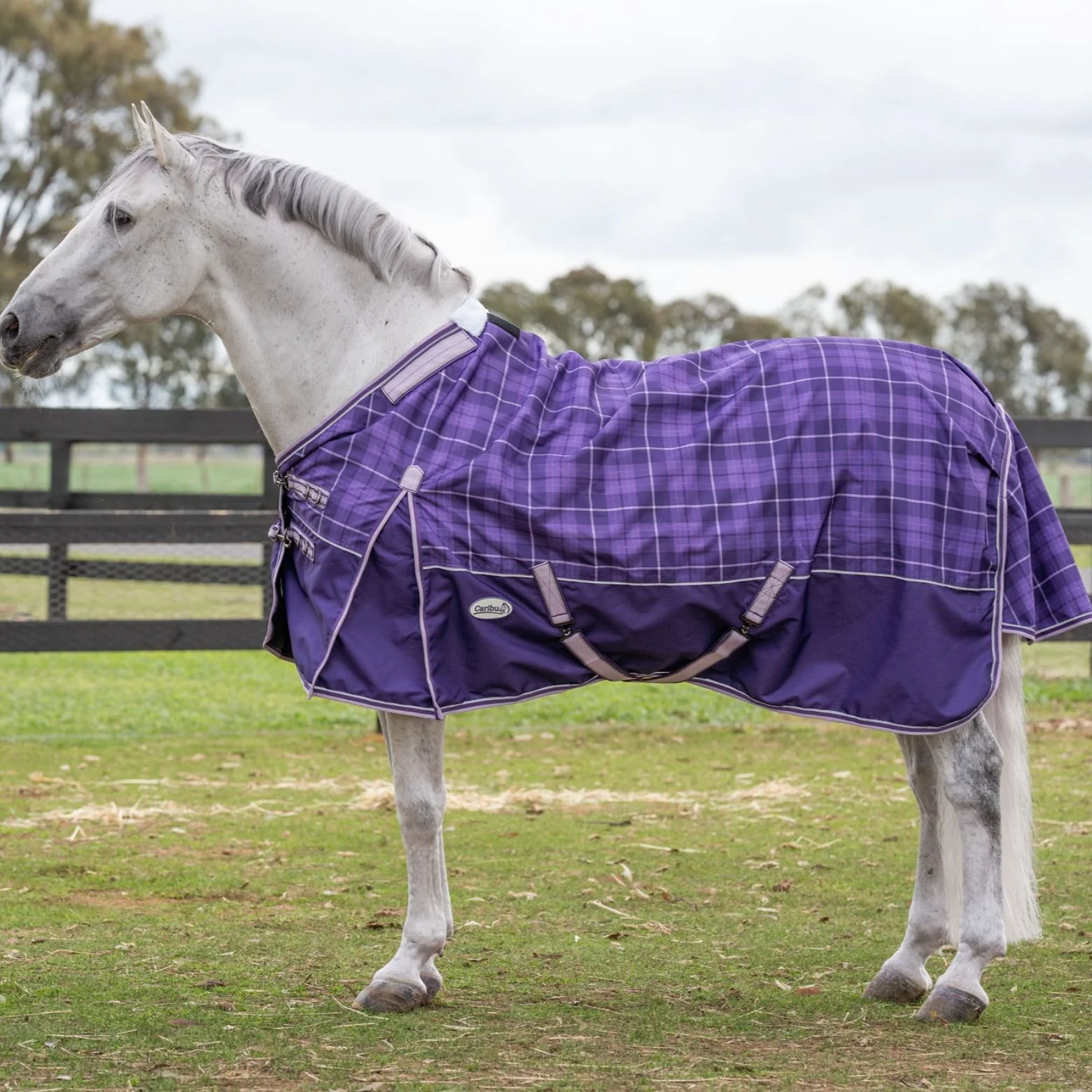 Caribu Eclipse Detach-a-Neck Rainsheet 1200D Purple Tartan - Image 48