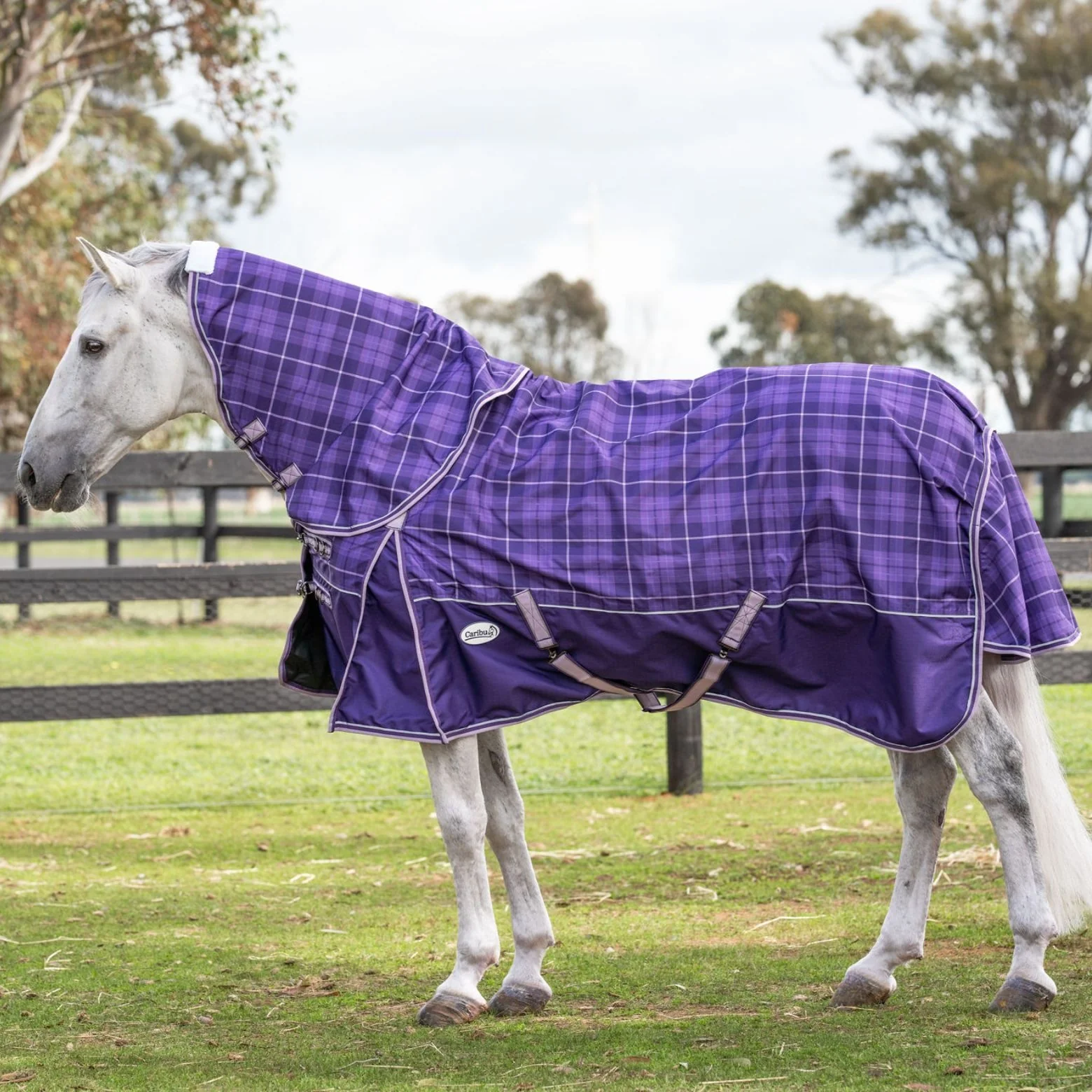 Caribu Eclipse Detach-a-Neck Rainsheet 1200D Purple Tartan - Image 6