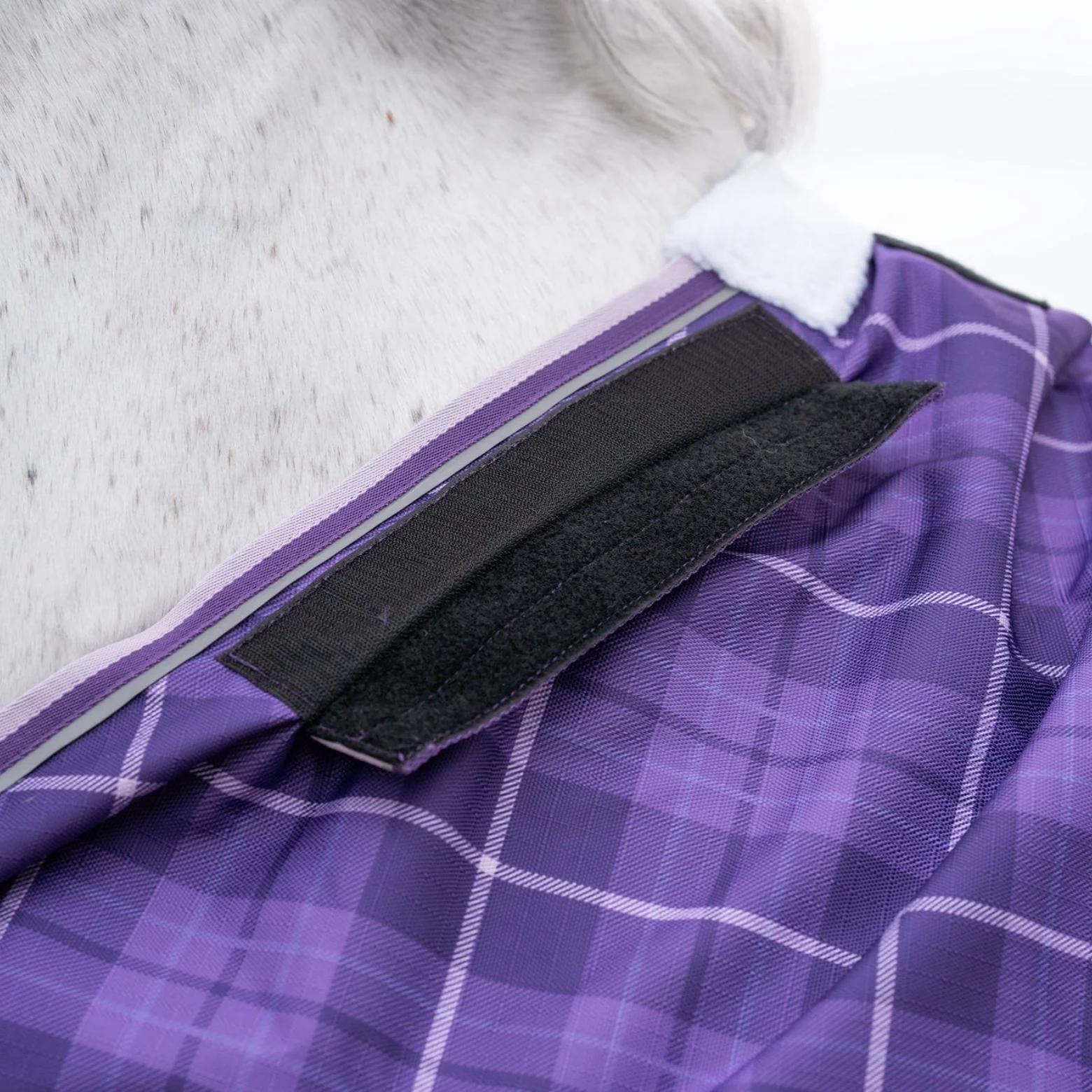 Caribu Eclipse Detach-a-Neck Rainsheet 1200D Purple Tartan - Image 67