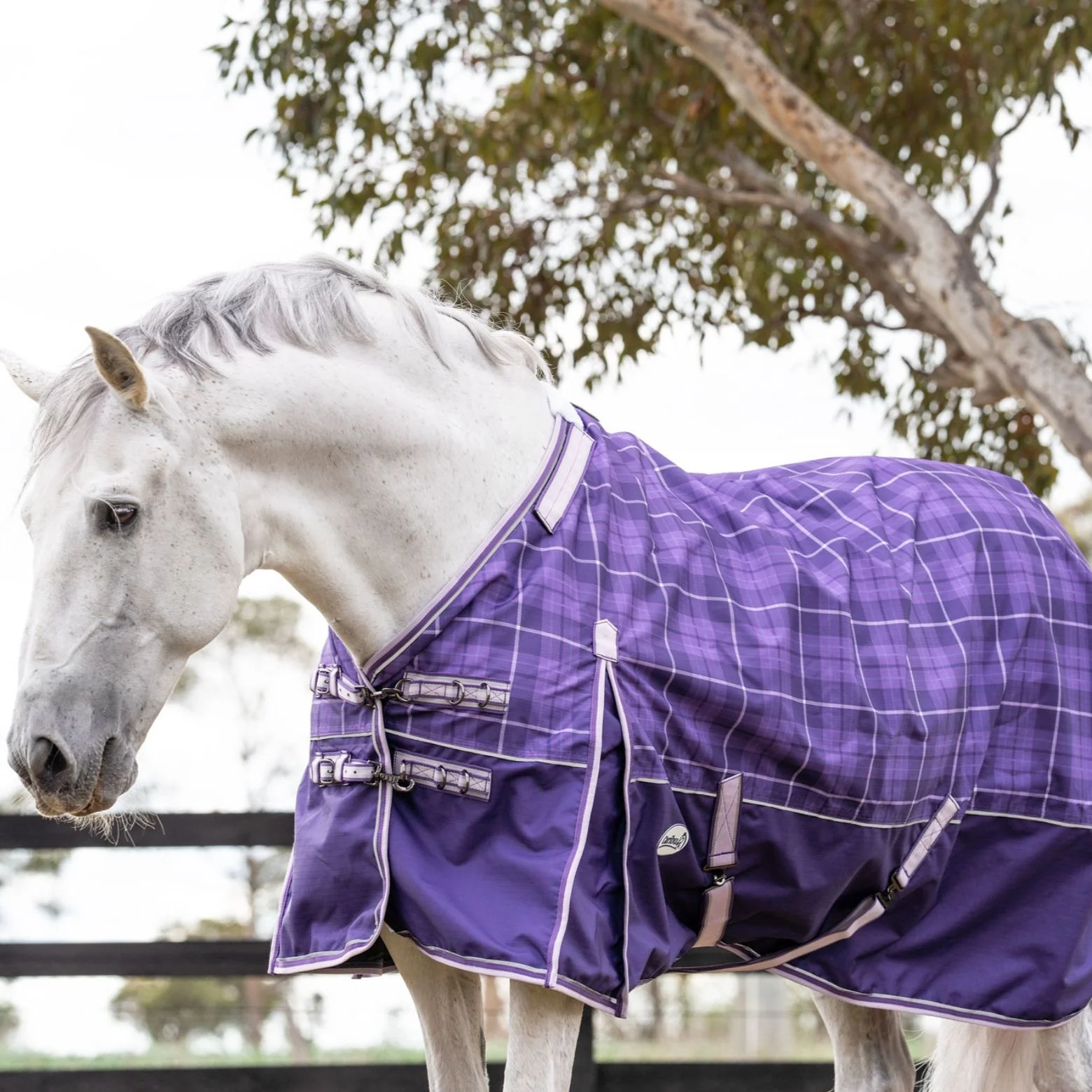 Caribu Eclipse Detach-a-Neck Rainsheet 1200D Purple Tartan - Image 9