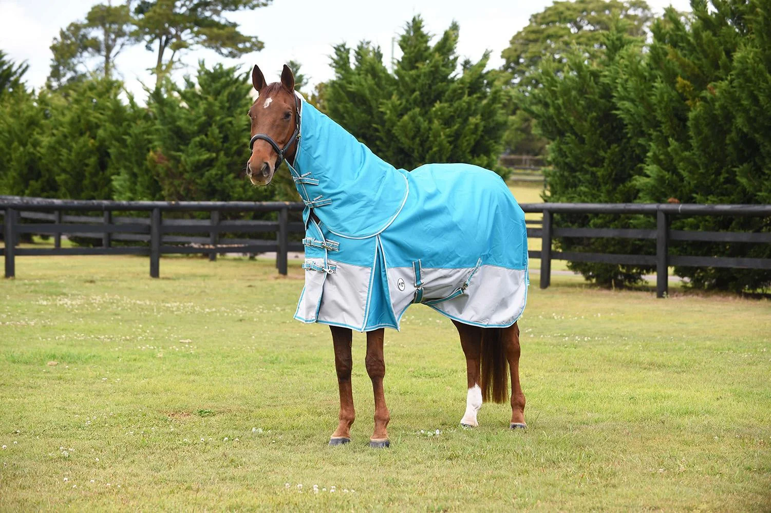 Caribu Eclipse Rainsheet Detach-a-Neck Horse Rug - Image 2