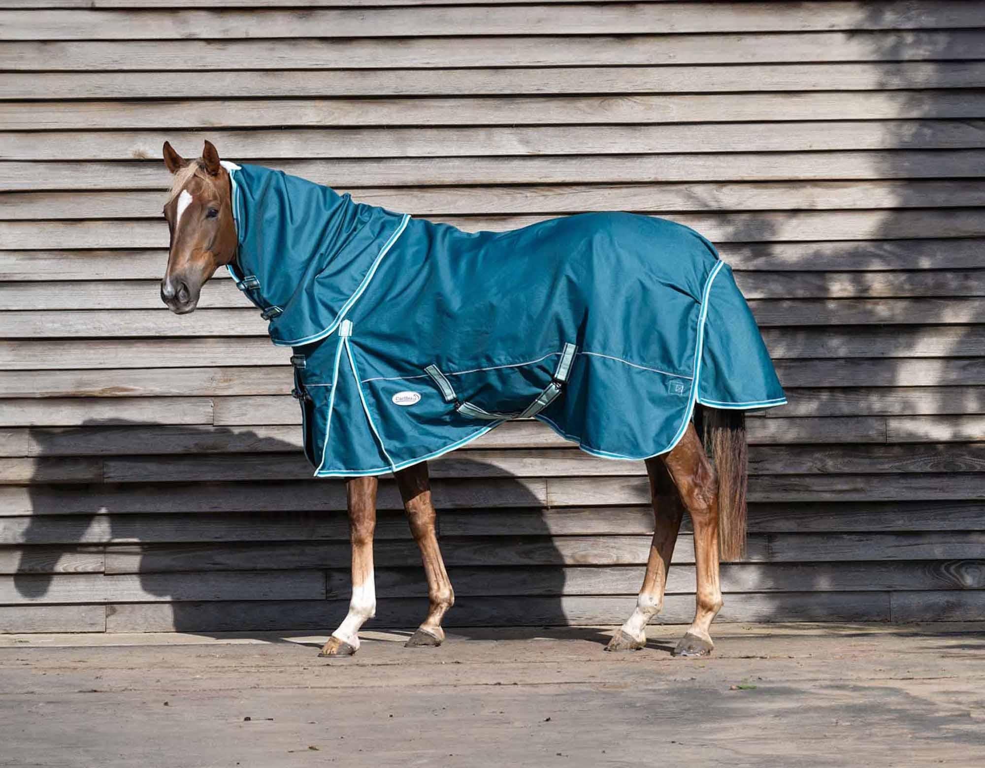 Caribu Eclipse Detach-a-Neck Horse Rainsheet Green - Image 15