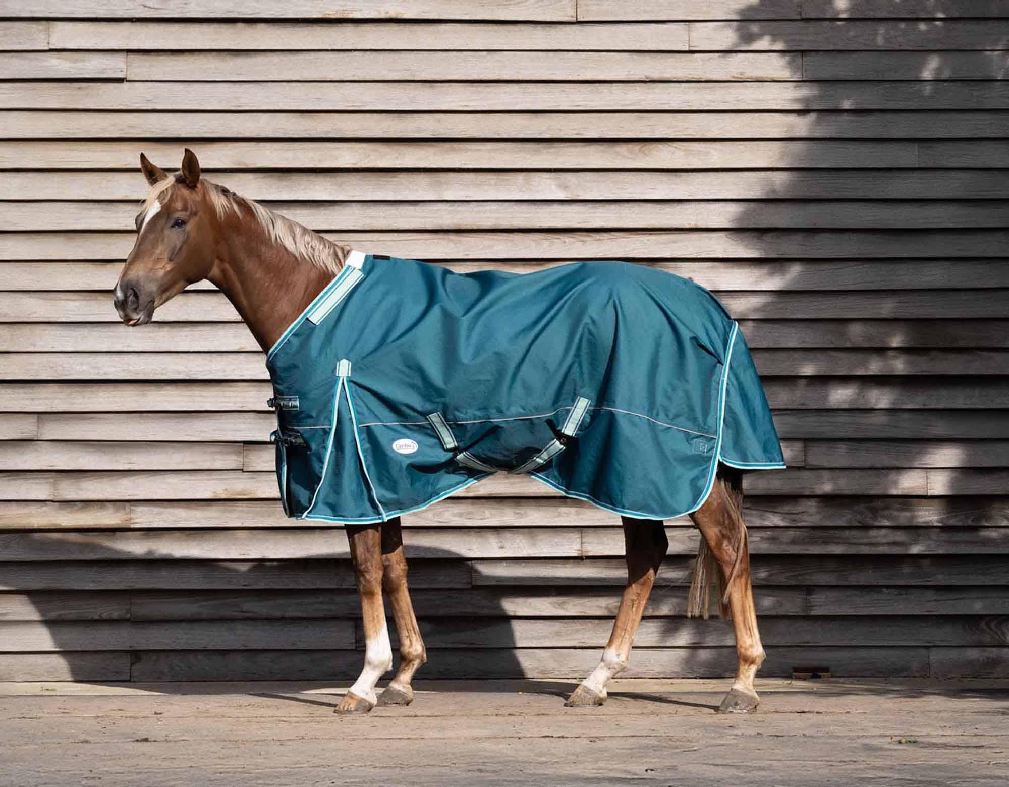 Caribu Eclipse Detach-a-Neck Horse Rainsheet Green - Image 35