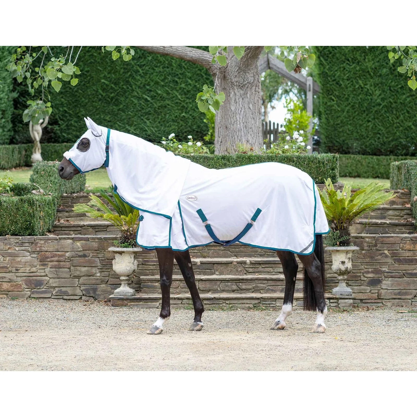 Caribu Euro Mesh Hooded Combo - Image 22