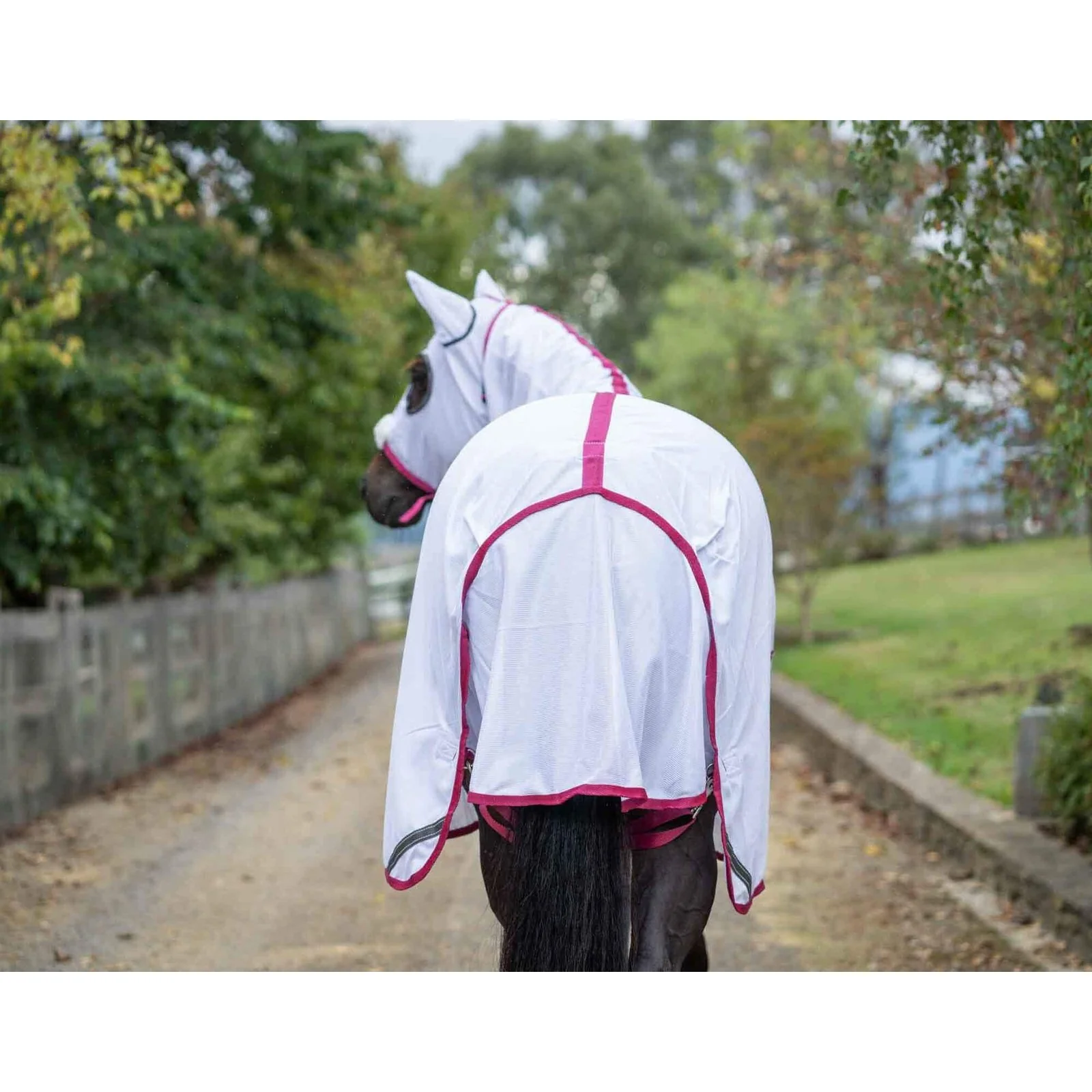 Caribu Euro Mesh Hooded Combo - Image 6