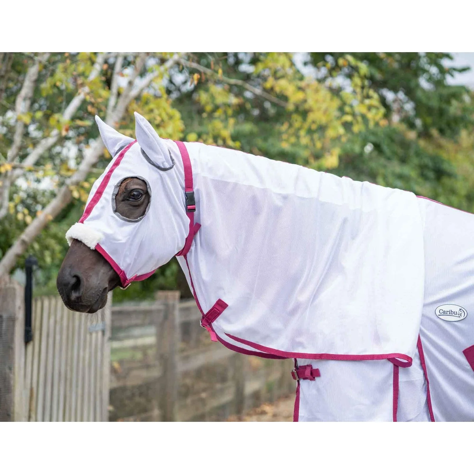 Caribu Euro Mesh Hooded Combo - Image 7