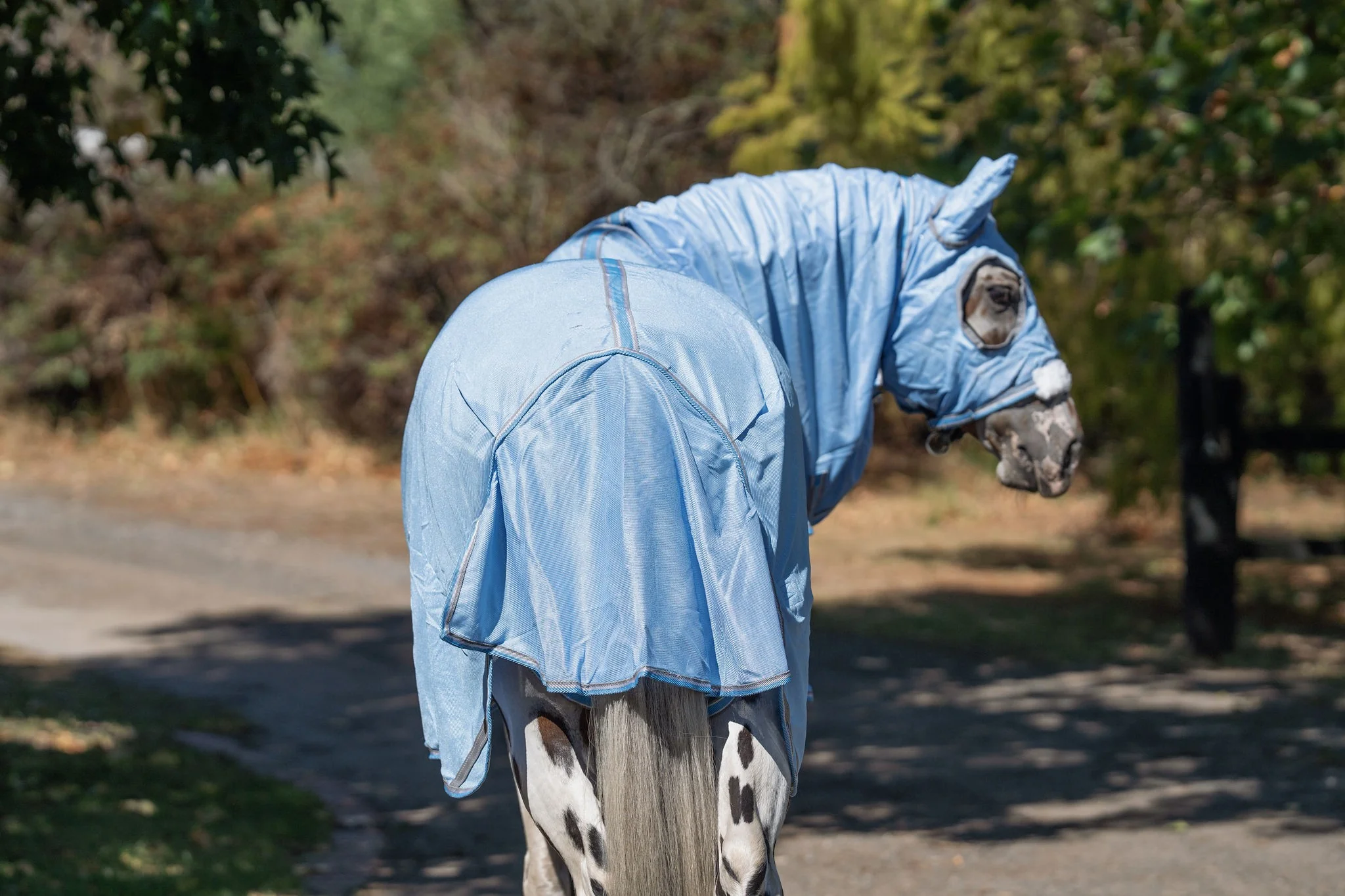 Caribu Euro Mesh Hooded Combo - Image 71