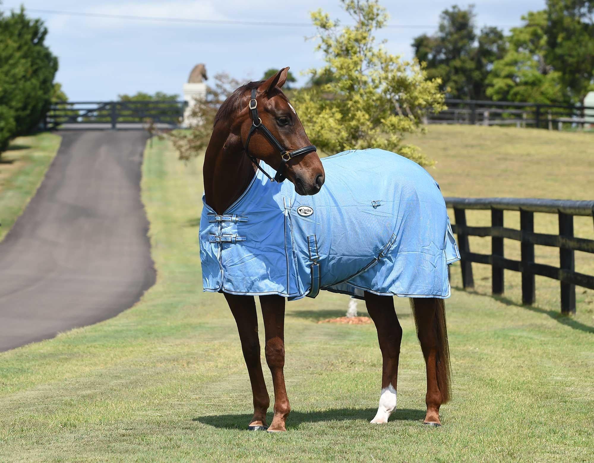 Caribu Euro 270gsm Mesh Horse Rug - Image 4