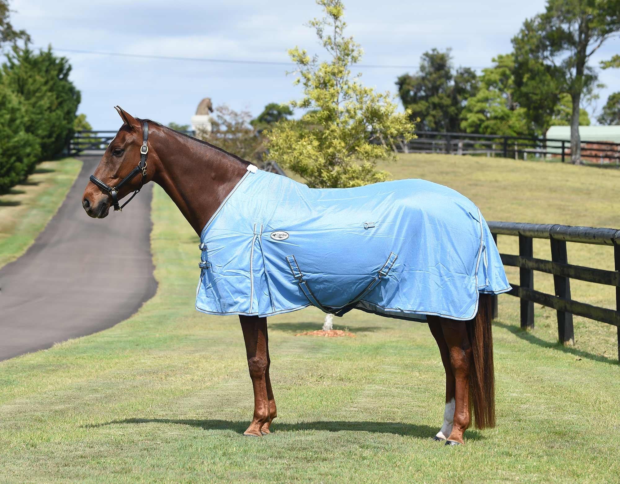 Caribu Euro 270gsm Mesh Horse Rug - Image 9