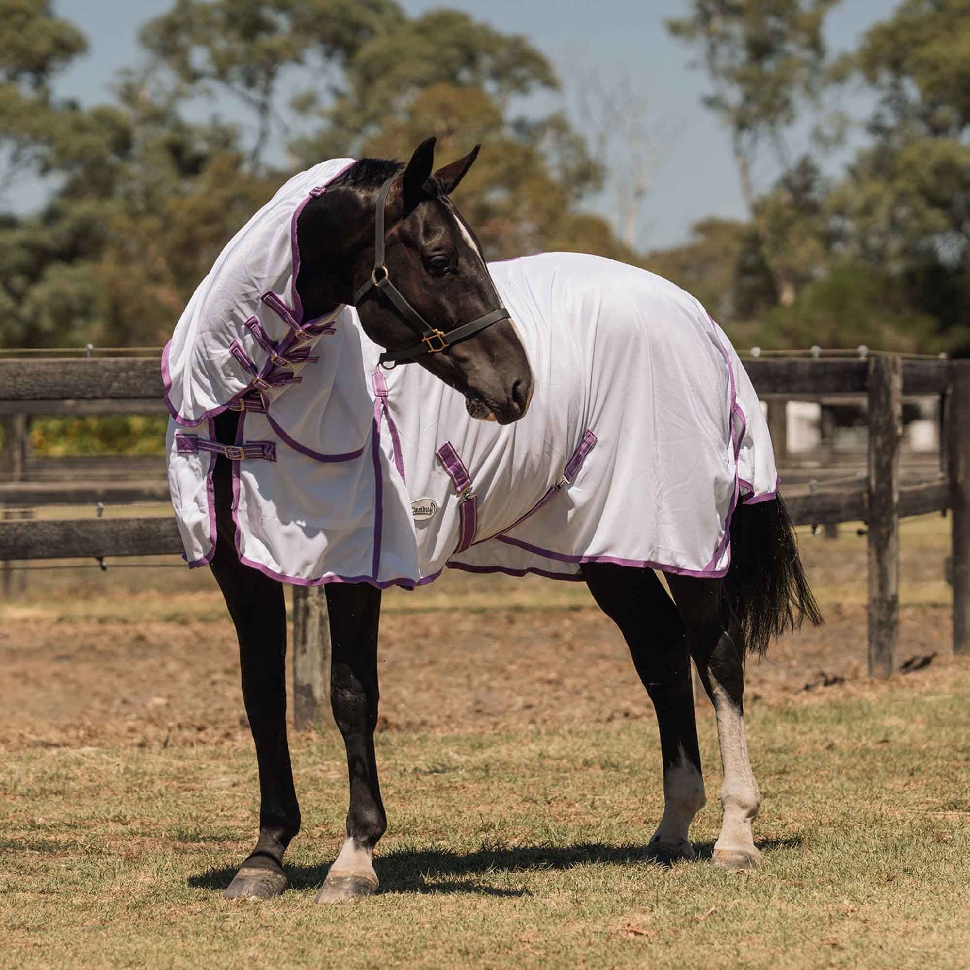 Caribu Euro Mesh Combo Horse Rug Violet & Lilac - Image 27
