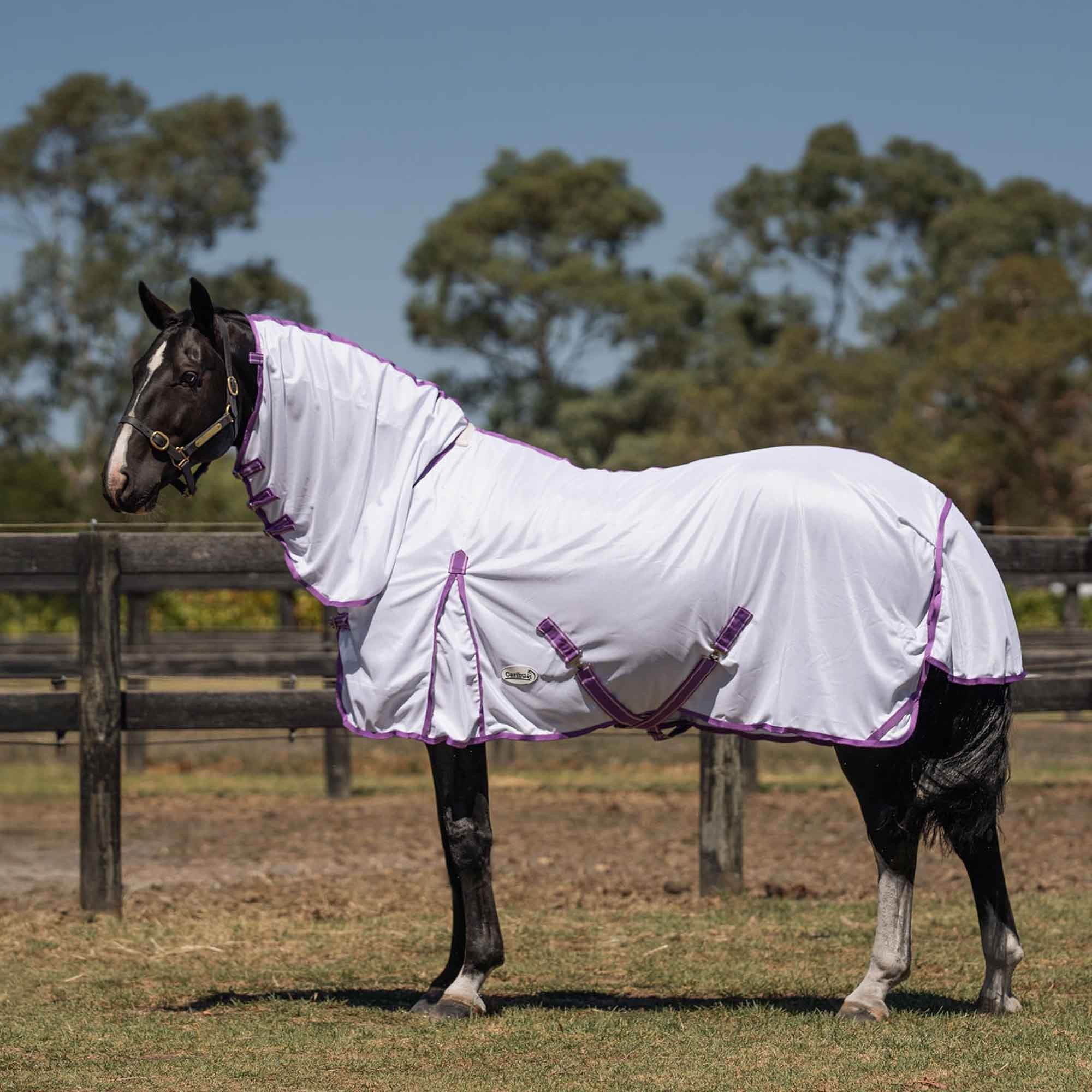 Caribu Euro Mesh Combo Horse Rug Violet & Lilac - Image 9