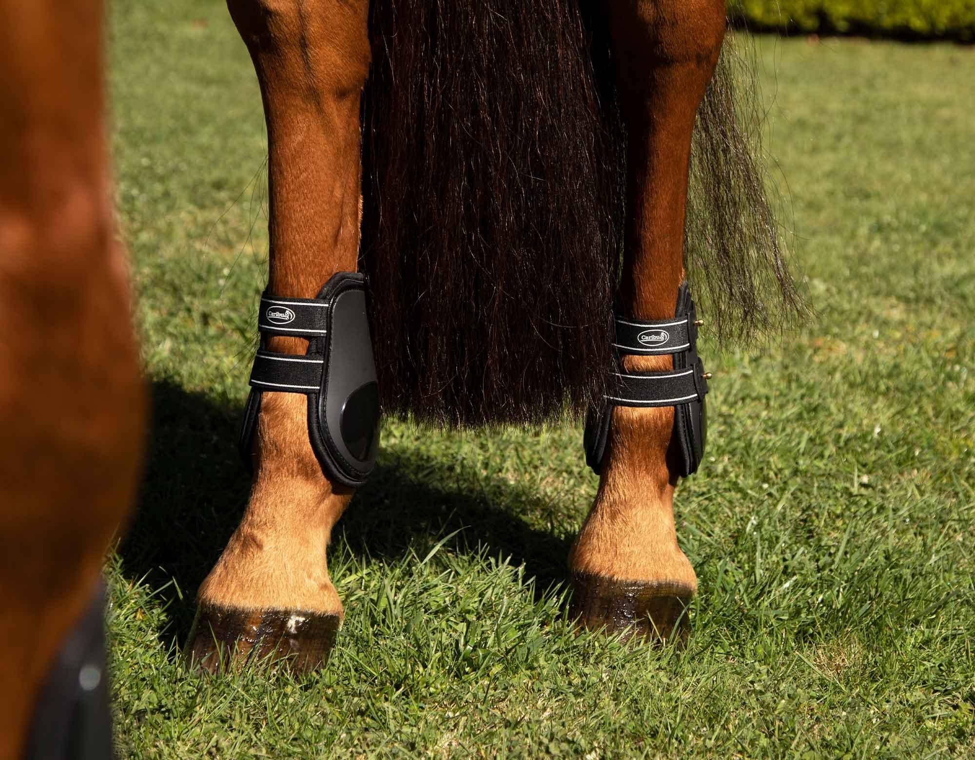 Caribu Fetlock Boot Stud - Image 18