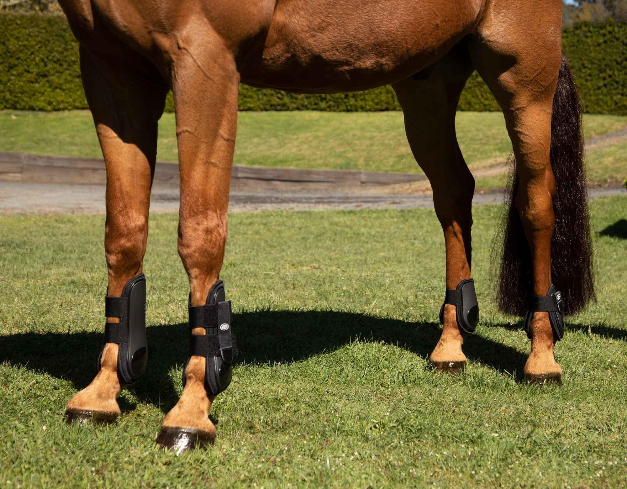 Caribu Fetlock Boot Velcro - Image 4