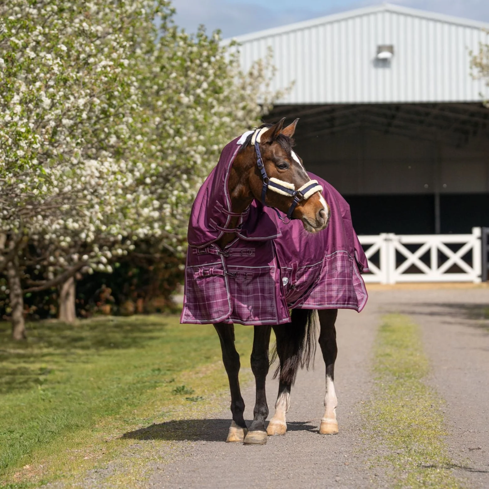 Caribu Flinders Detach-a-Neck Rainsheet 1200D Plum Tartan - Image 13