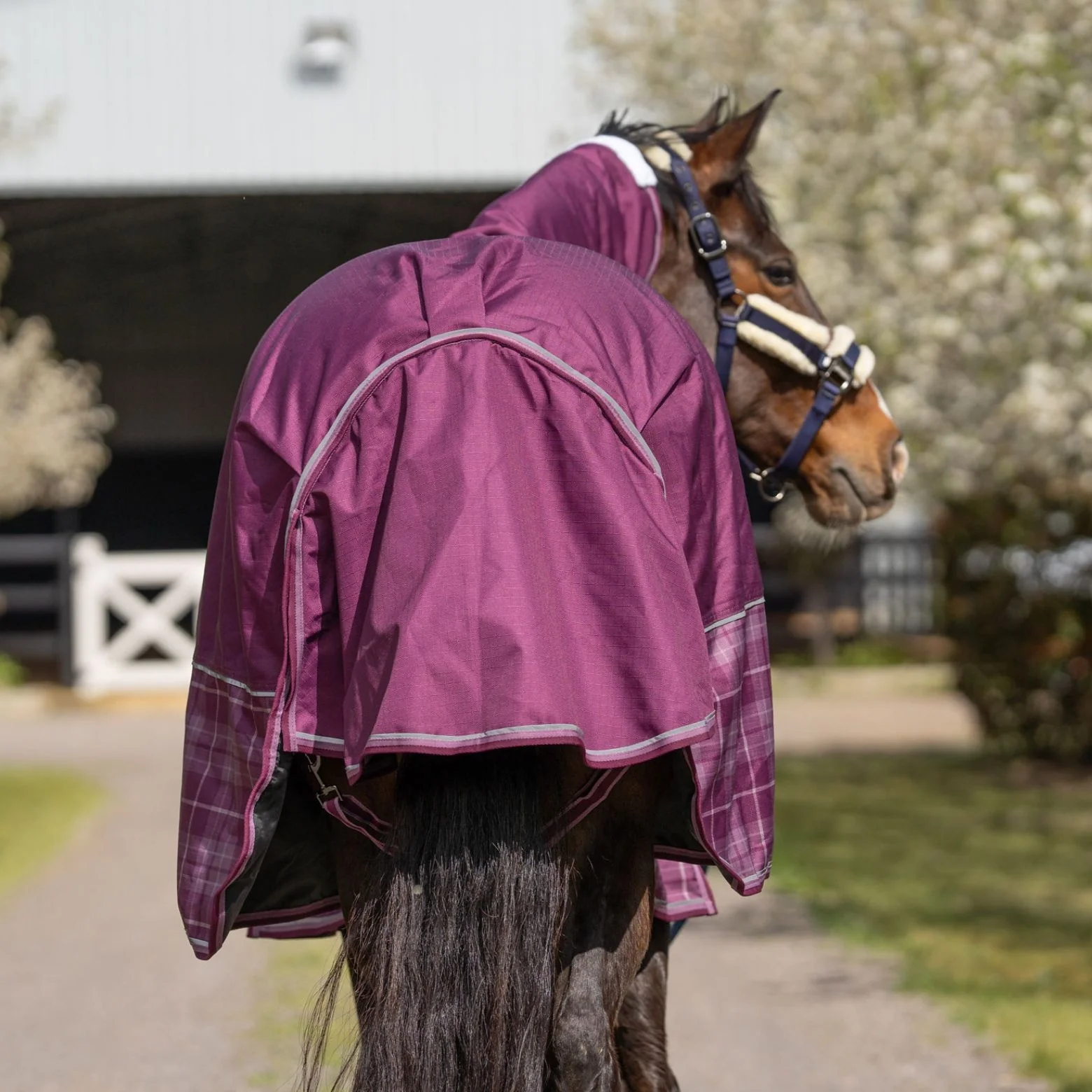 Caribu Flinders Detach-a-Neck Rainsheet 1200D Plum Tartan - Image 20