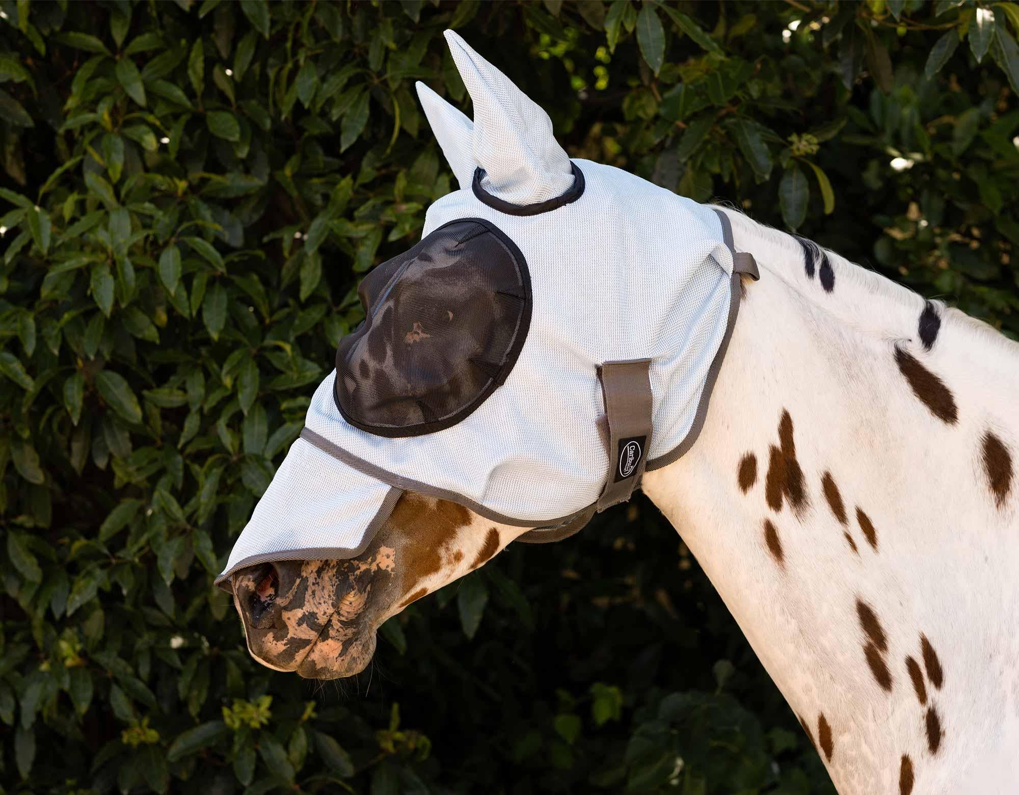 Caribu Premium Horse Fly Mask - Image 6