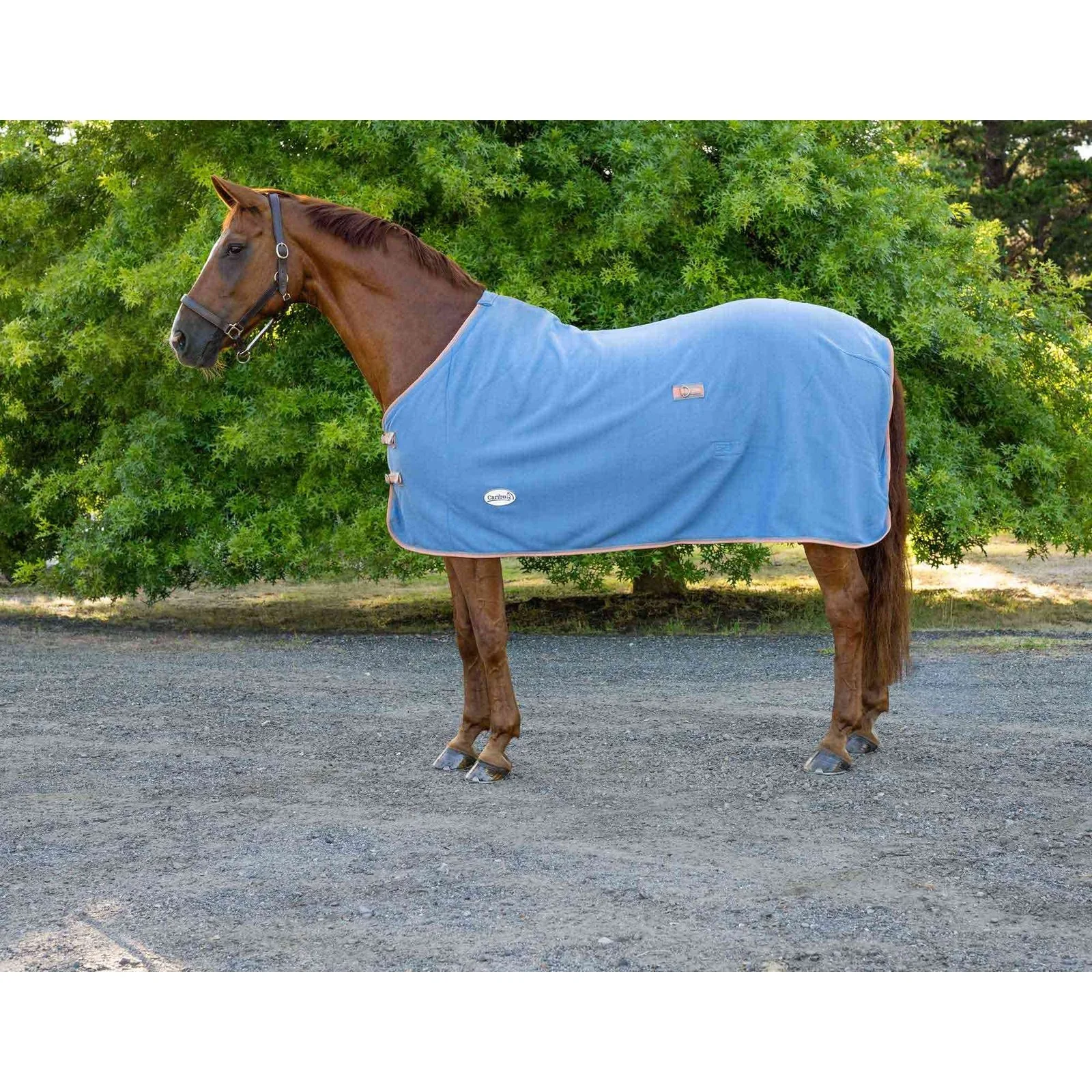 Caribu Kozzi Polar Fleece Rug - Image 2