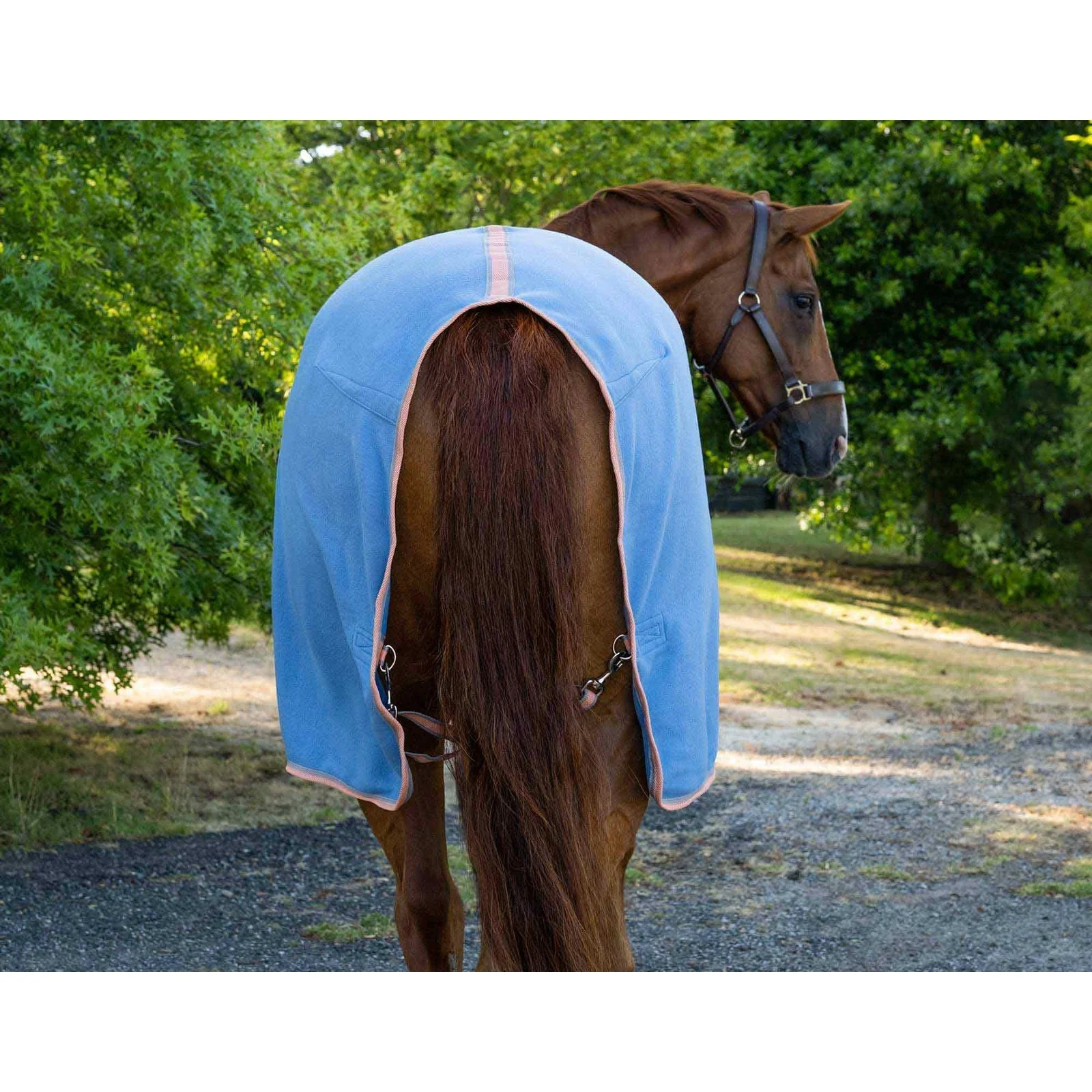Caribu Kozzi Polar Fleece Rug - Image 4