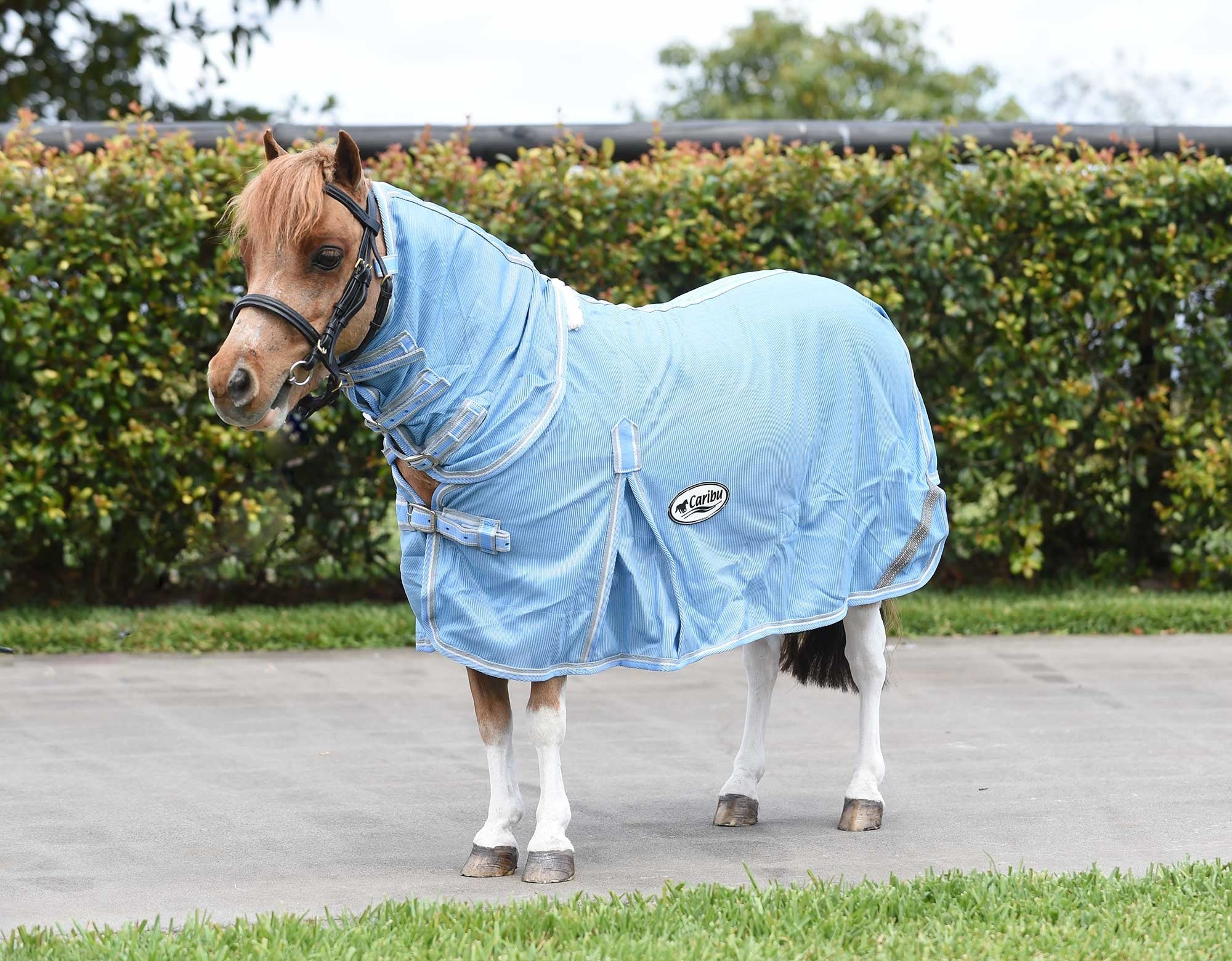 Caribu Mini Euro Mesh Combo Horse Rug - Image 11