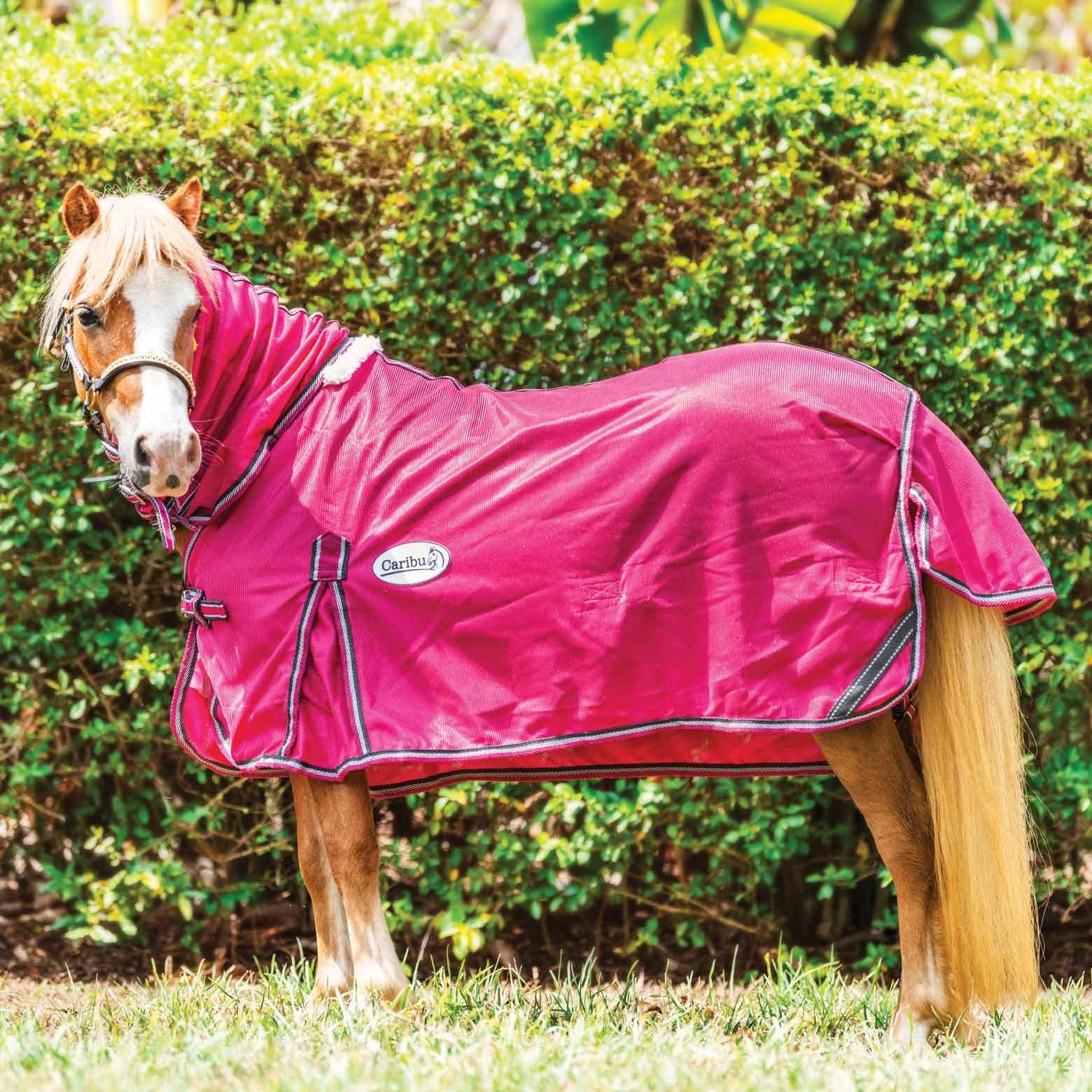 Caribu Mini Euro Mesh Combo Horse Rug - Image 12
