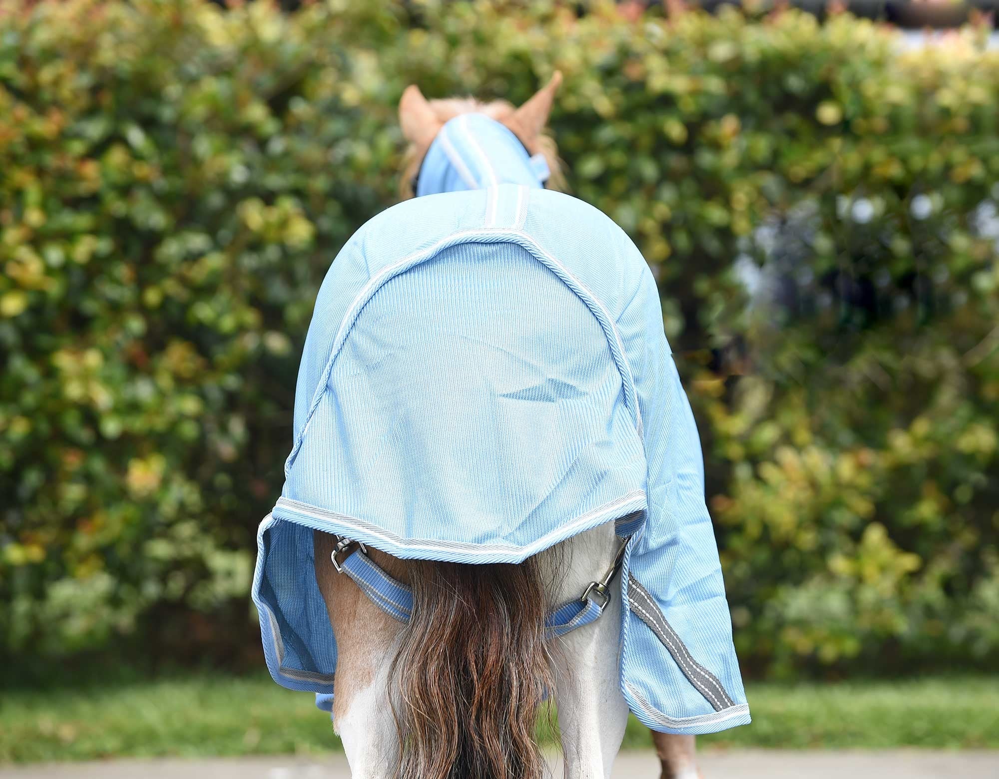 Caribu Mini Euro Mesh Combo Horse Rug - Image 26