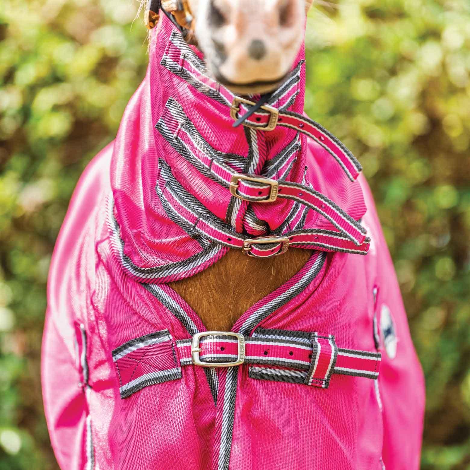Caribu Mini Euro Mesh Combo Horse Rug - Image 28