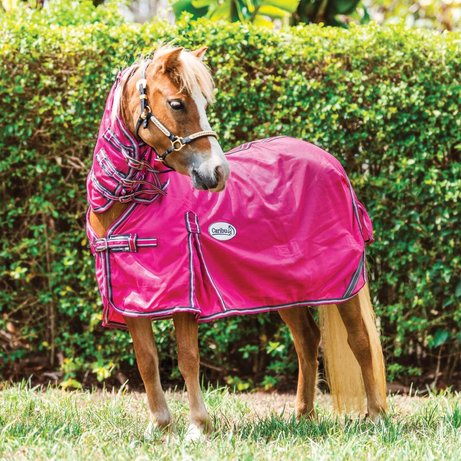 Caribu Mini Euro Mesh Combo Horse Rug - Image 9