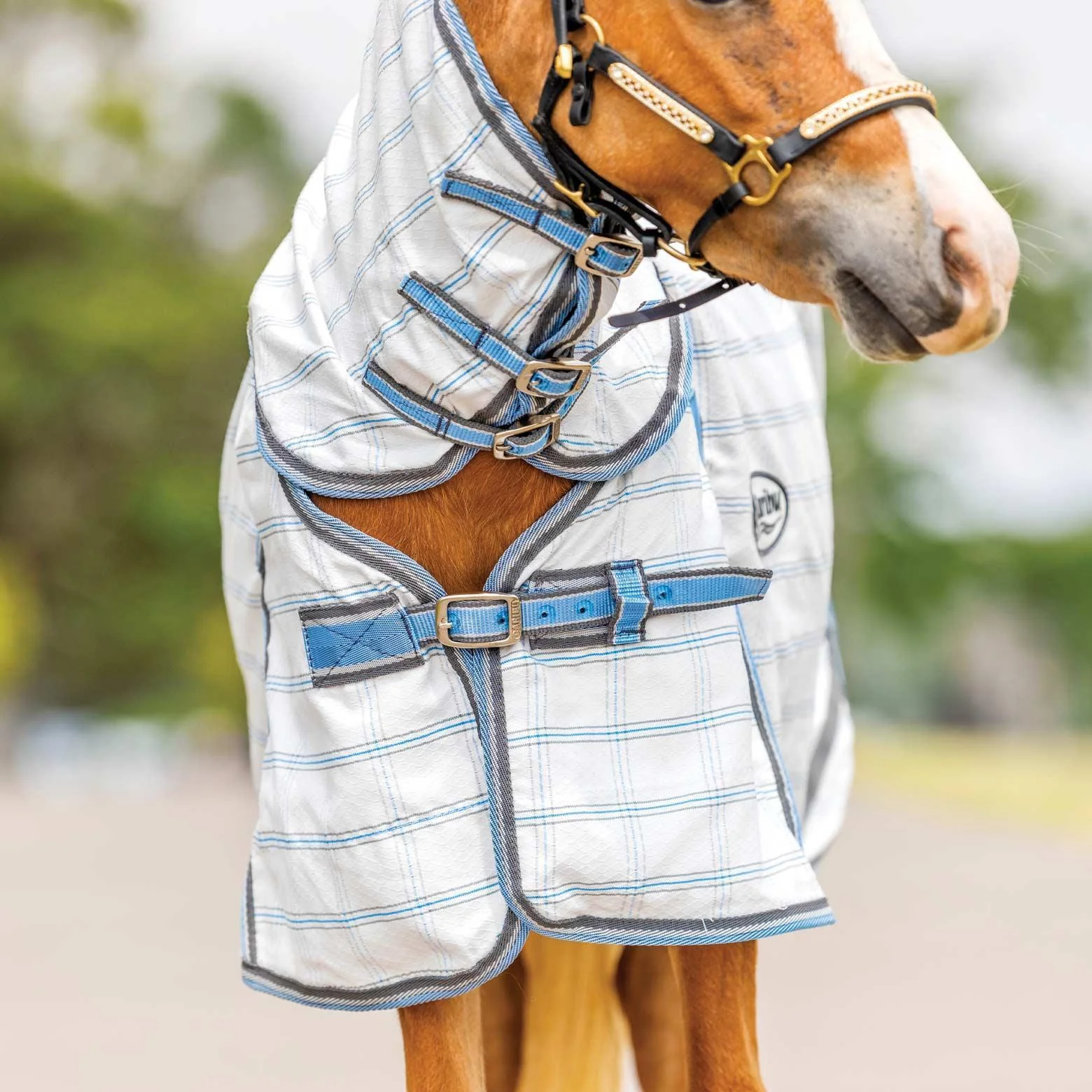 Caribu Mini Ripstop Combo Horse Rug - Image 16