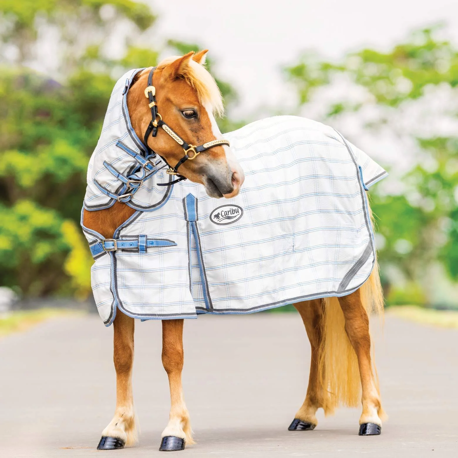 Caribu Mini Ripstop Combo Horse Rug - Image 3