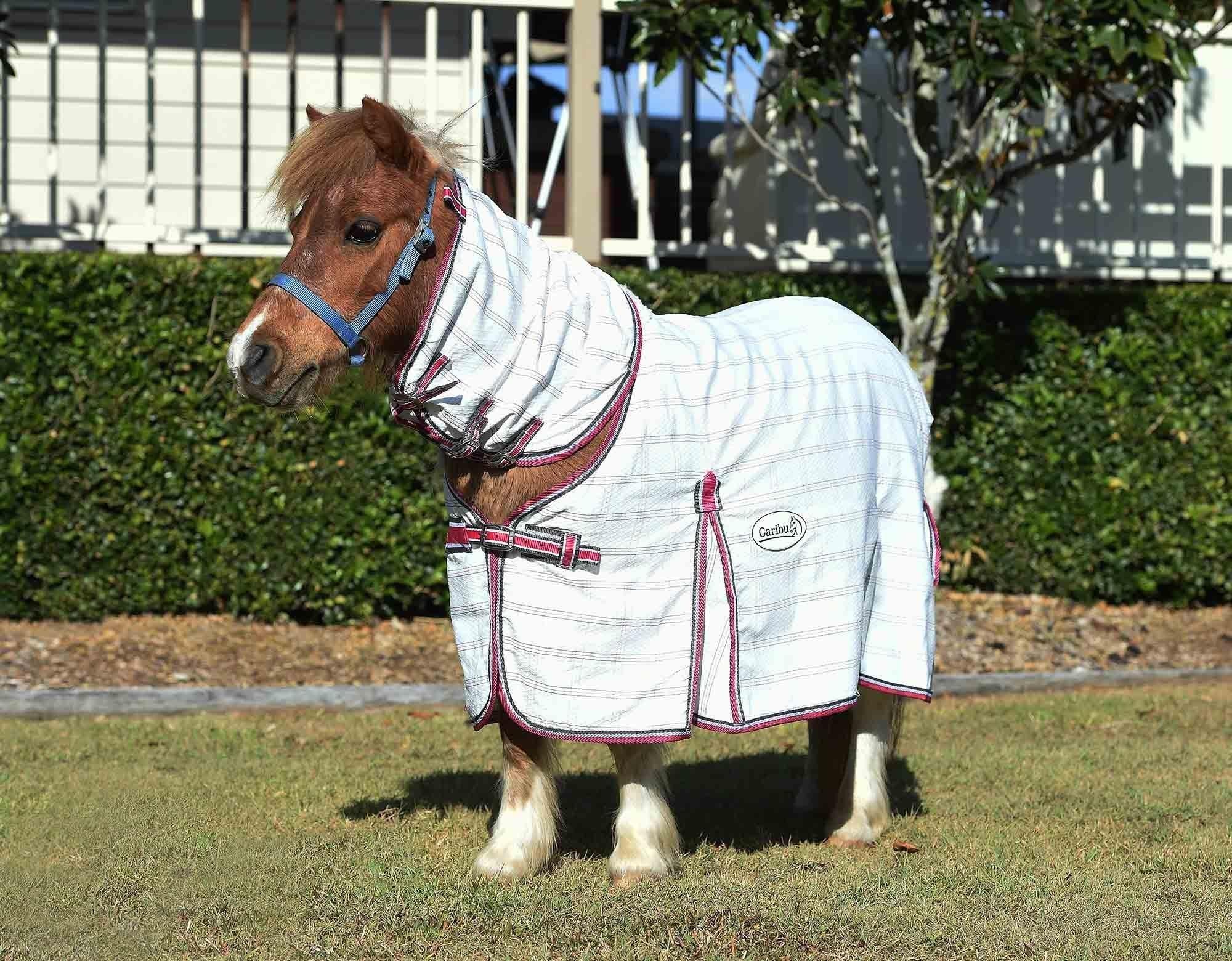 Caribu Mini Ripstop Combo Horse Rug - Image 6