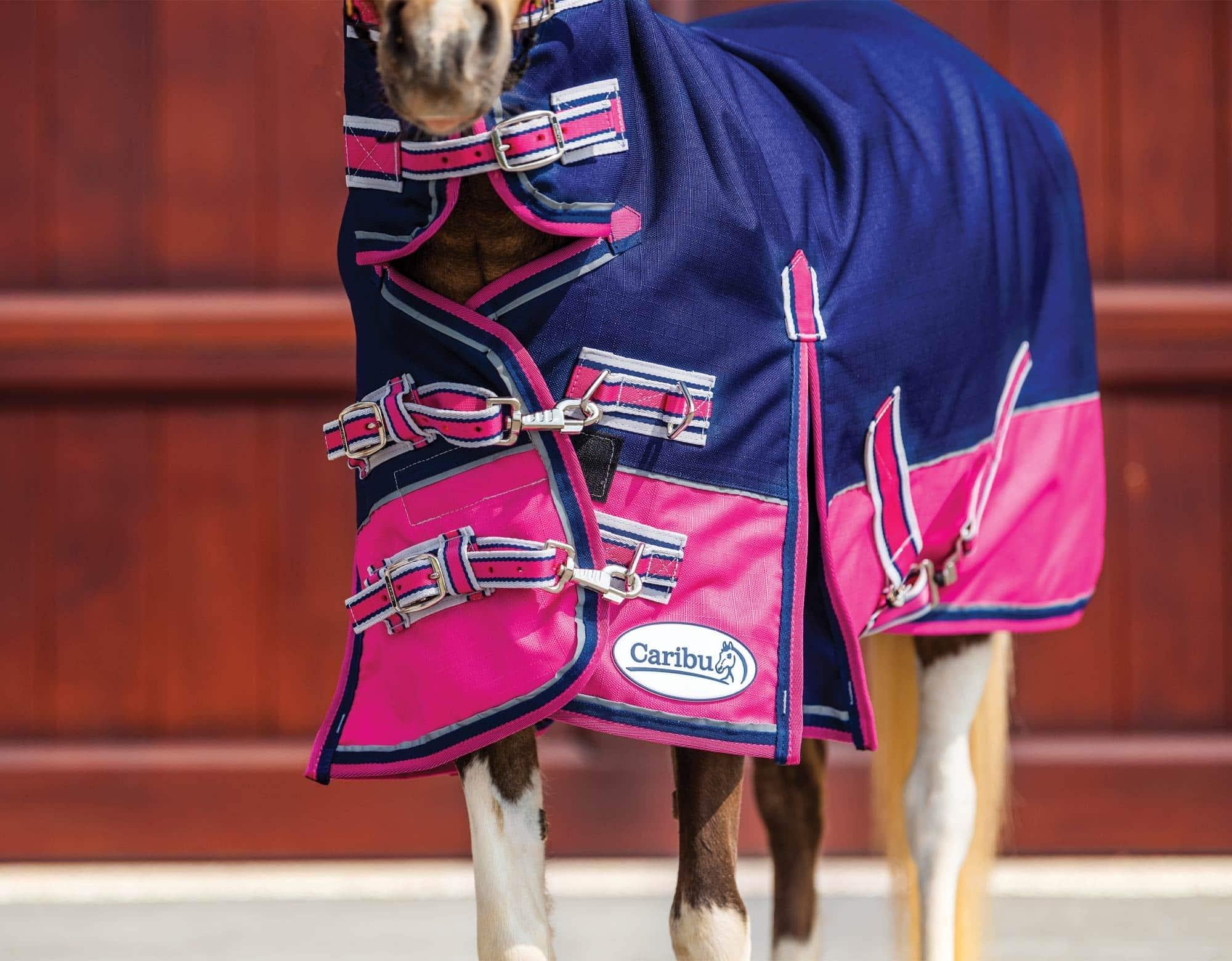 Caribu Mini Alpine Combo Horse Rug 200g - Image 27