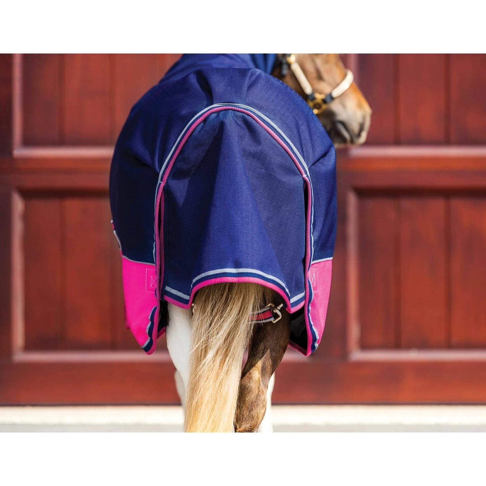 Caribu Mini Alpine Combo Horse Rug 200g - Image 3