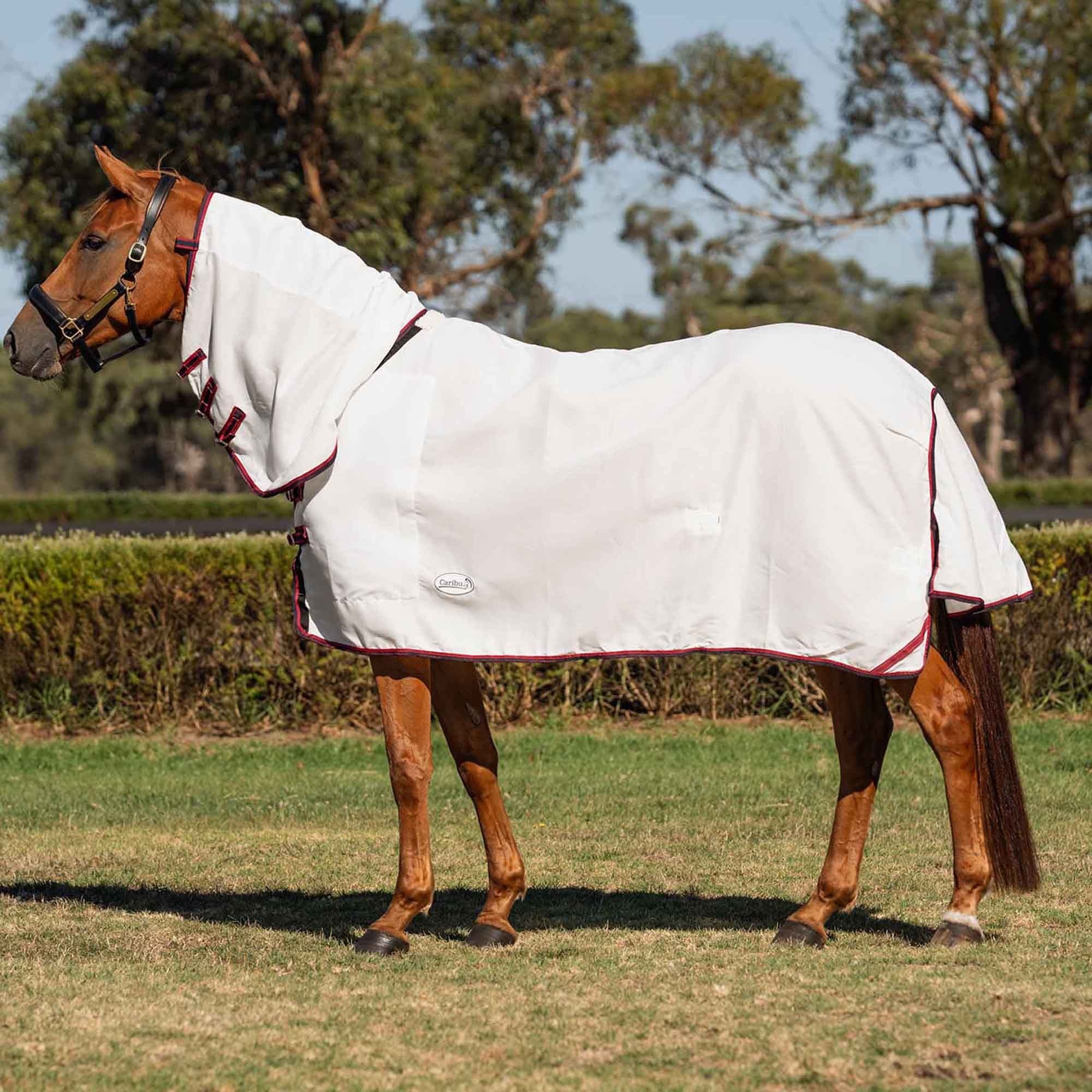 Caribu Navis Flag Combo Horse Rug Navy & Red - Image 11