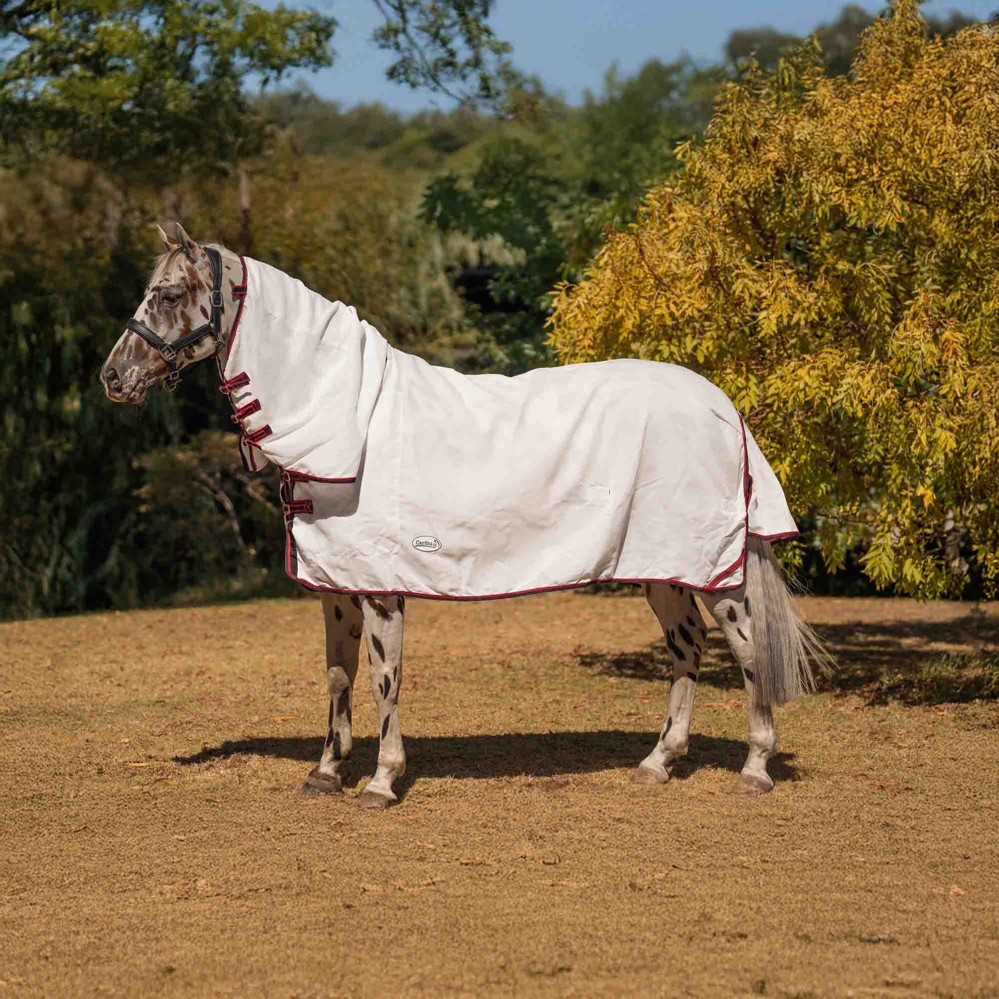 Caribu Navis Flag Combo Horse Rug Navy & Red - Image 16