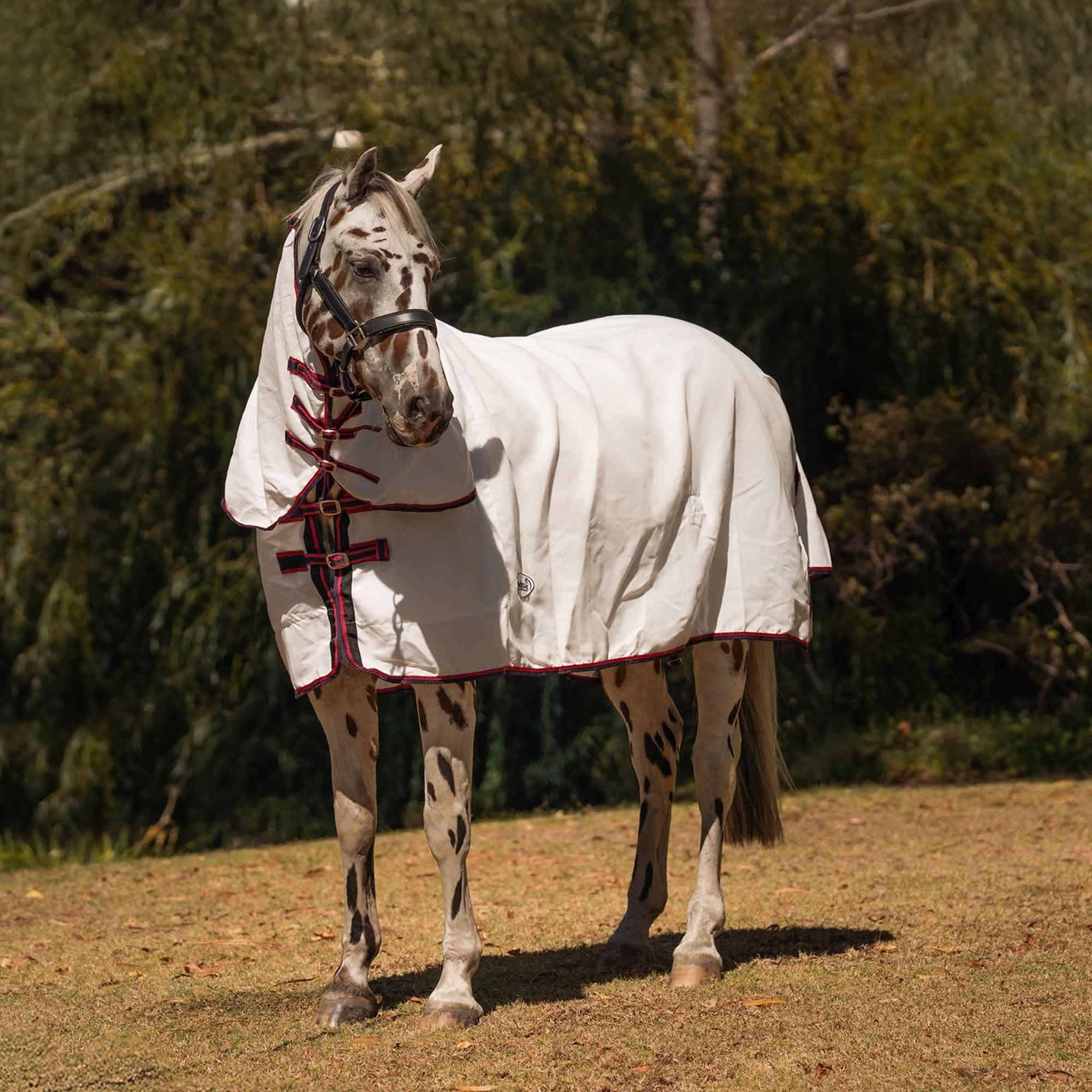 Caribu Navis Flag Combo Horse Rug Navy & Red - Image 28