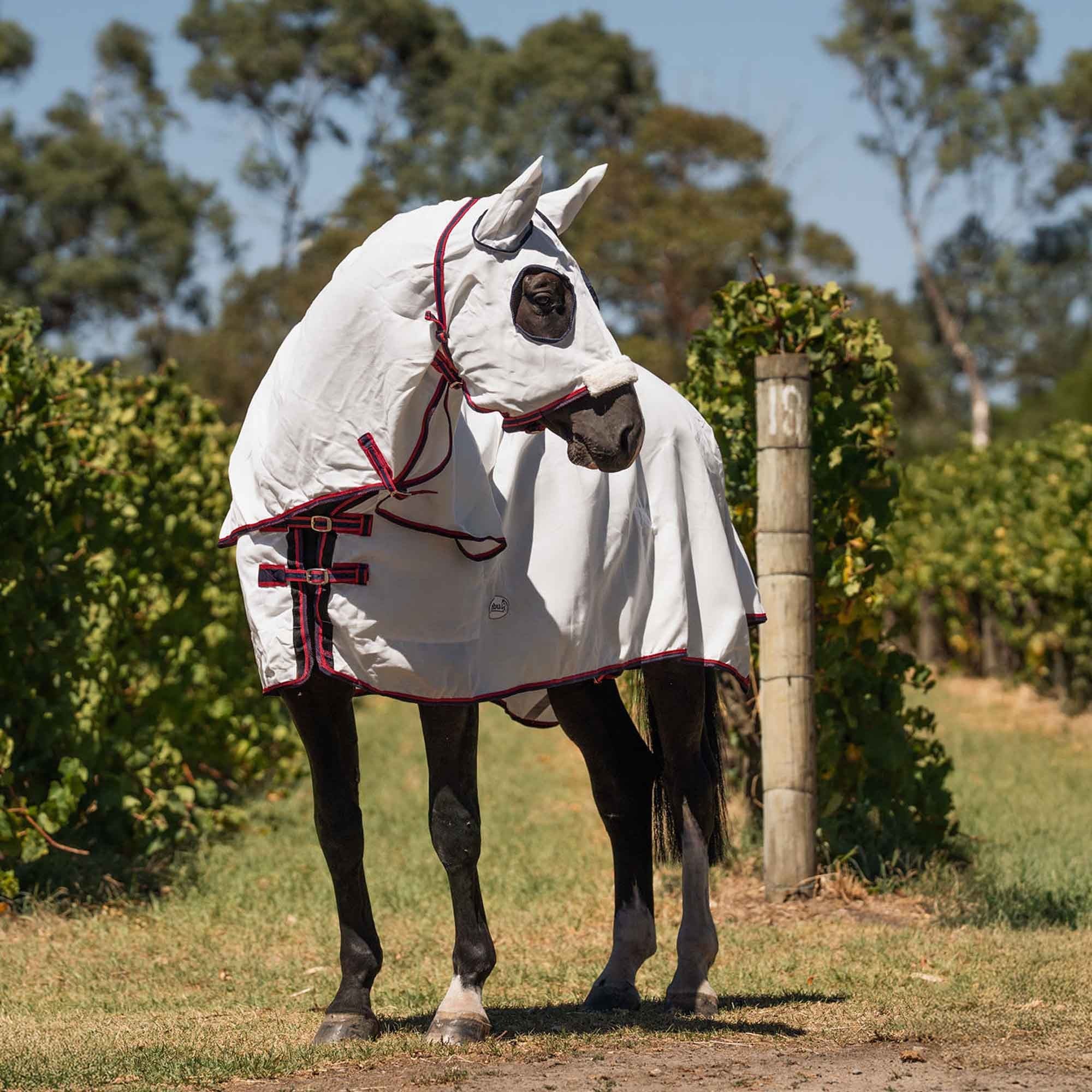 Caribu Navis Flag Hooded Combo Horse Rug Navy & Red - Image 14