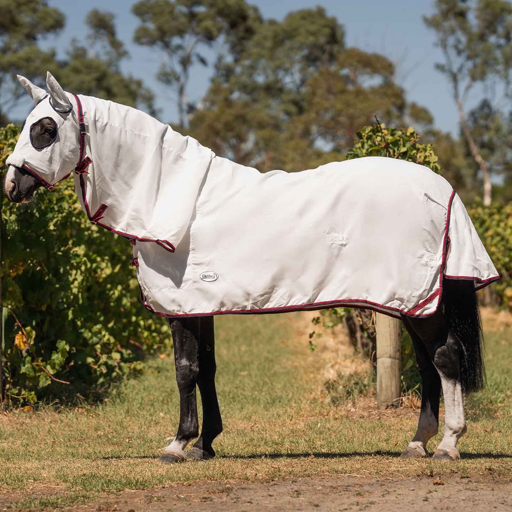 Caribu Navis Flag Hooded Combo Horse Rug Navy & Red - Image 2