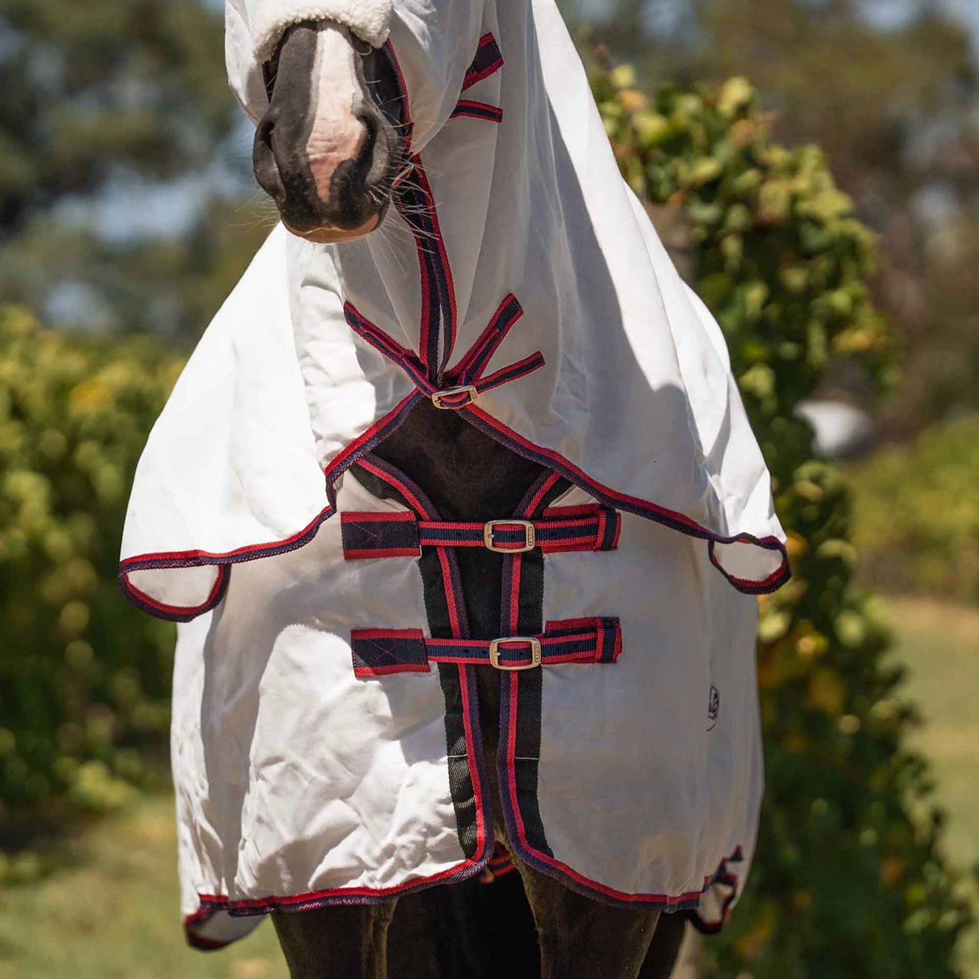 Caribu Navis Flag Hooded Combo Horse Rug Navy & Red - Image 27
