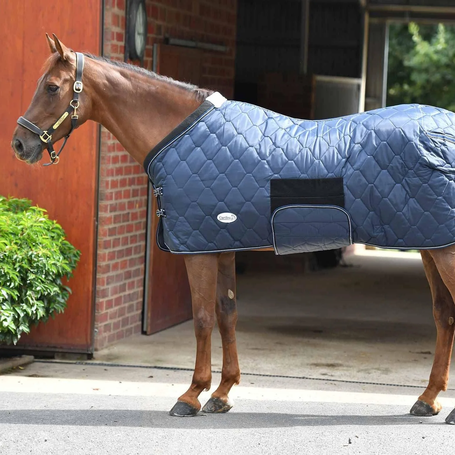 Caribu Quilted Stable Rug - Image 27