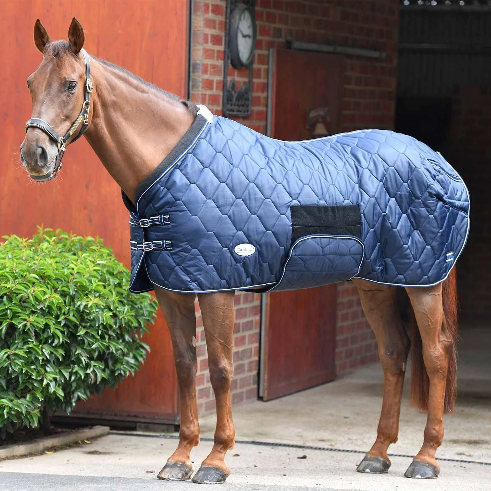 Caribu Quilted Stable Rug - Image 4