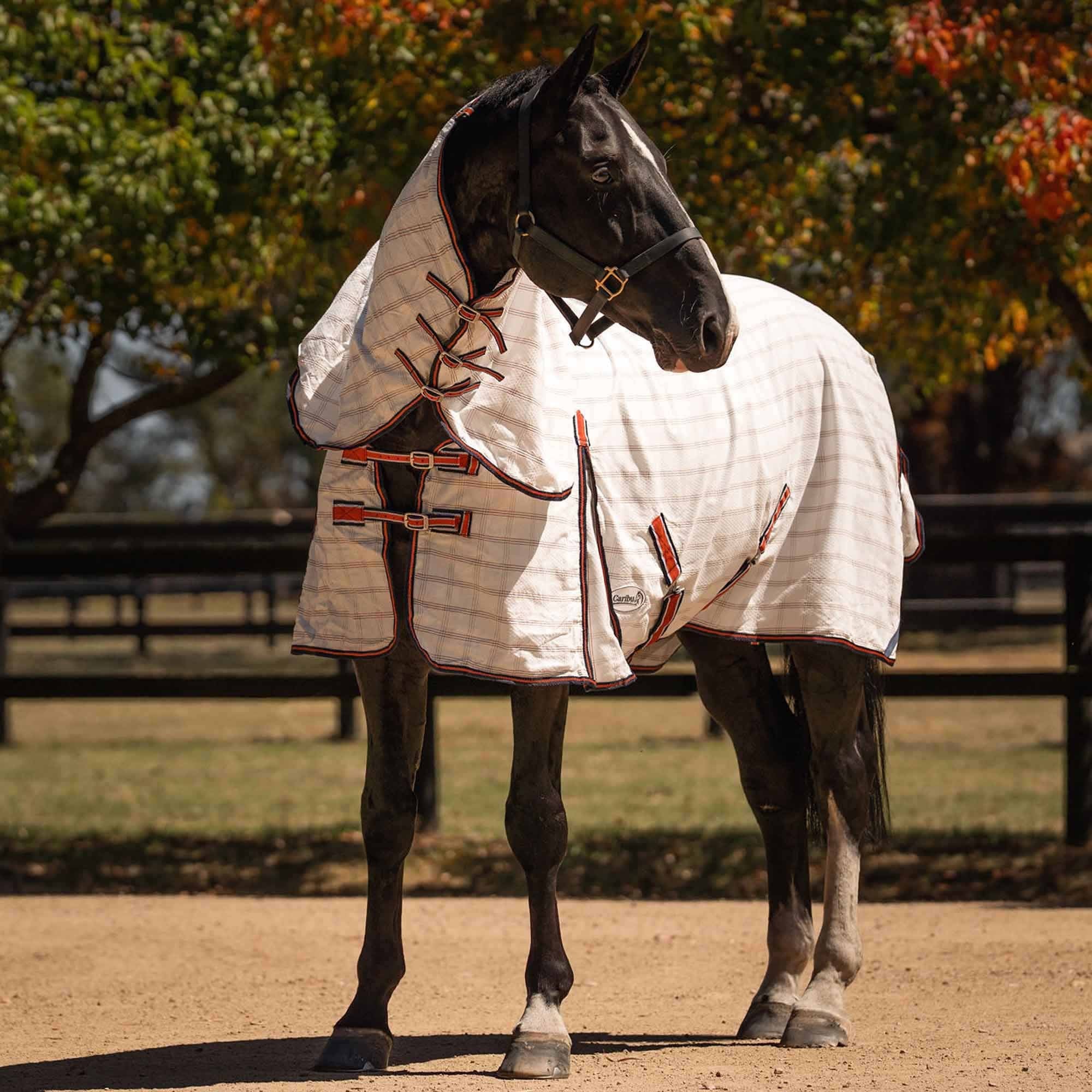 Caribu Ripstop Combo XL Gusset Horse Rug Navy Kumquat - Image 16