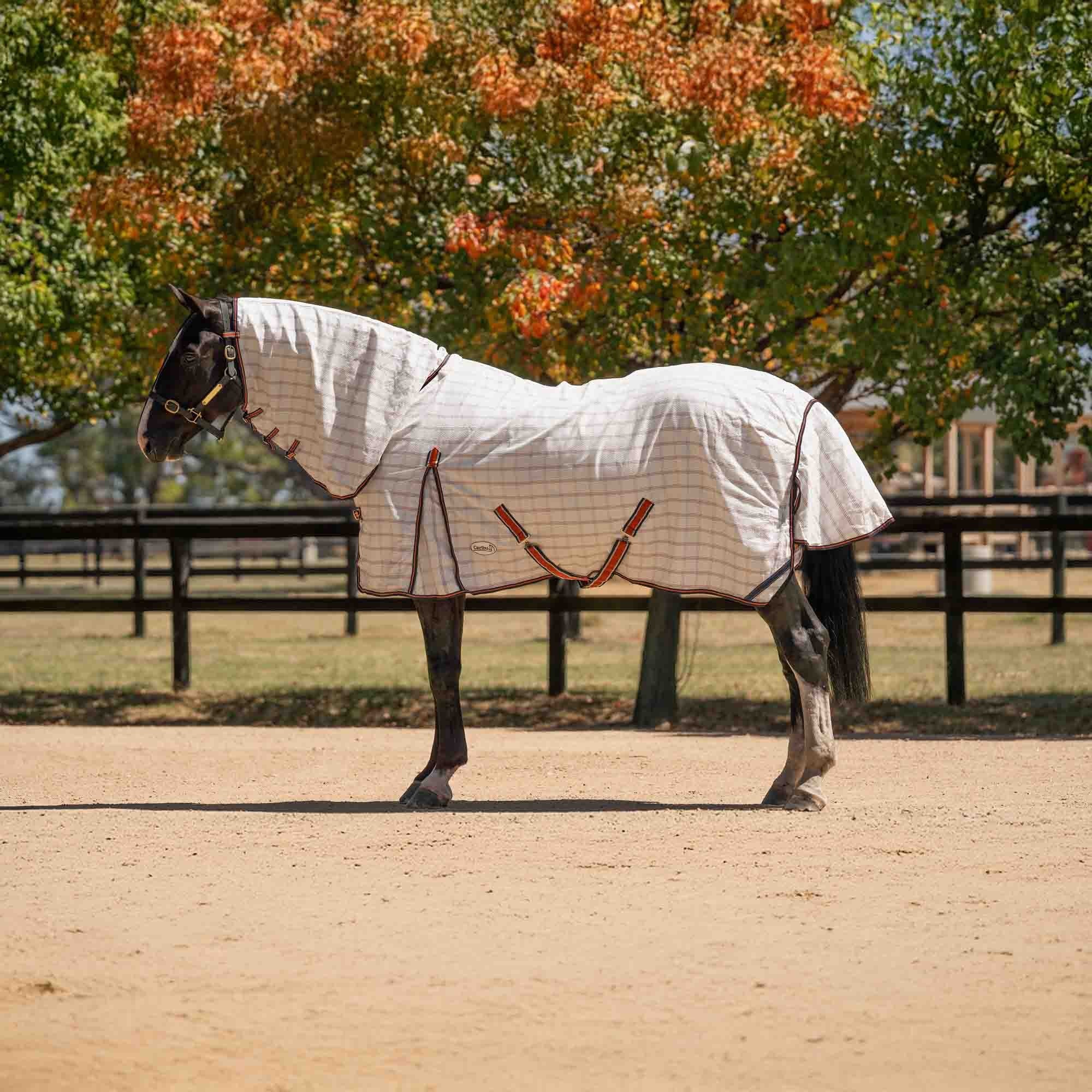 Caribu Ripstop Combo XL Gusset Horse Rug Navy Kumquat - Image 3